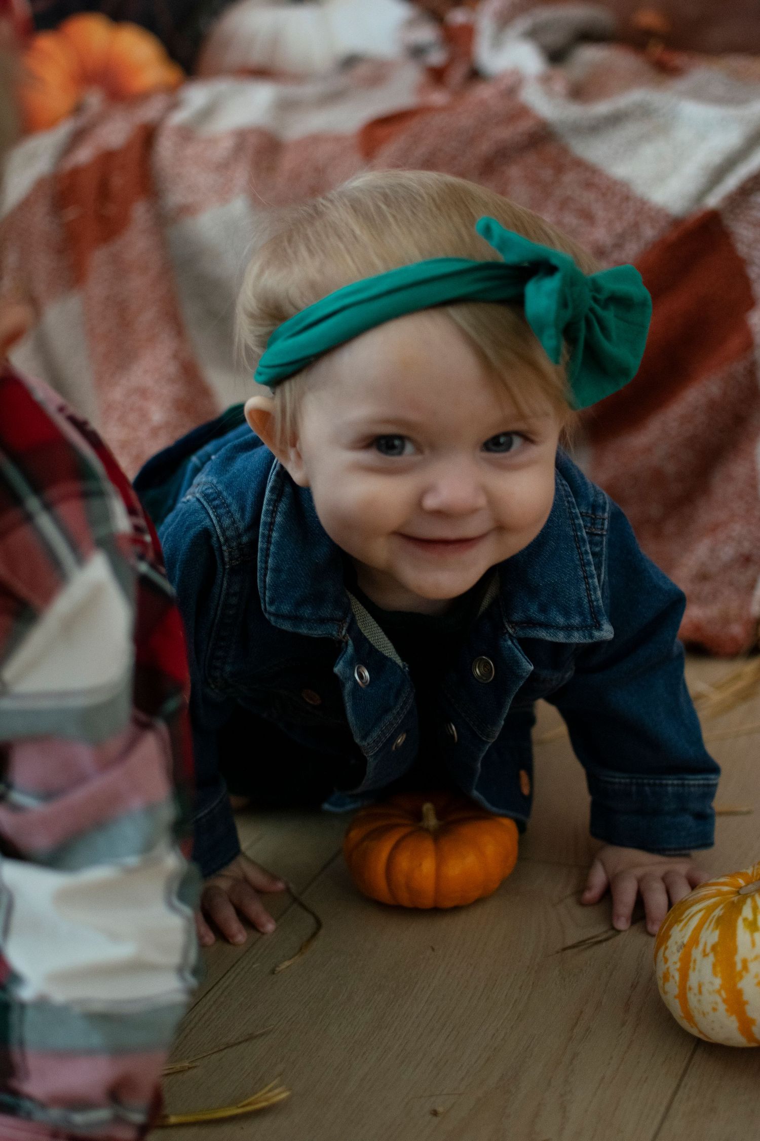 Baby in denim jacket and turquoise bow crawls near small pumpkins.