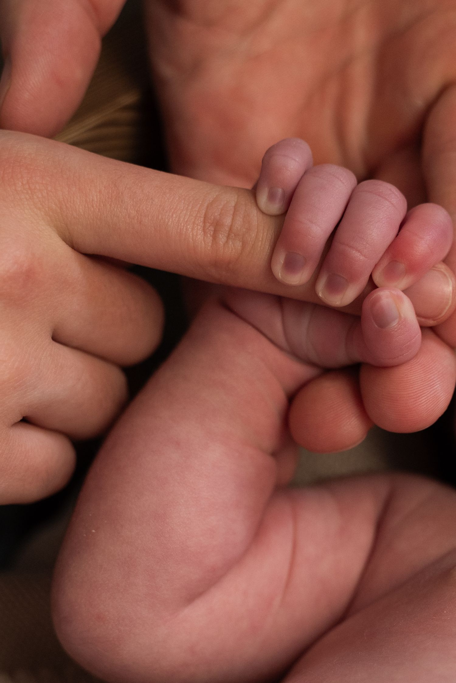 Close-up view of tiny baby fingers being gently held by adult hands.