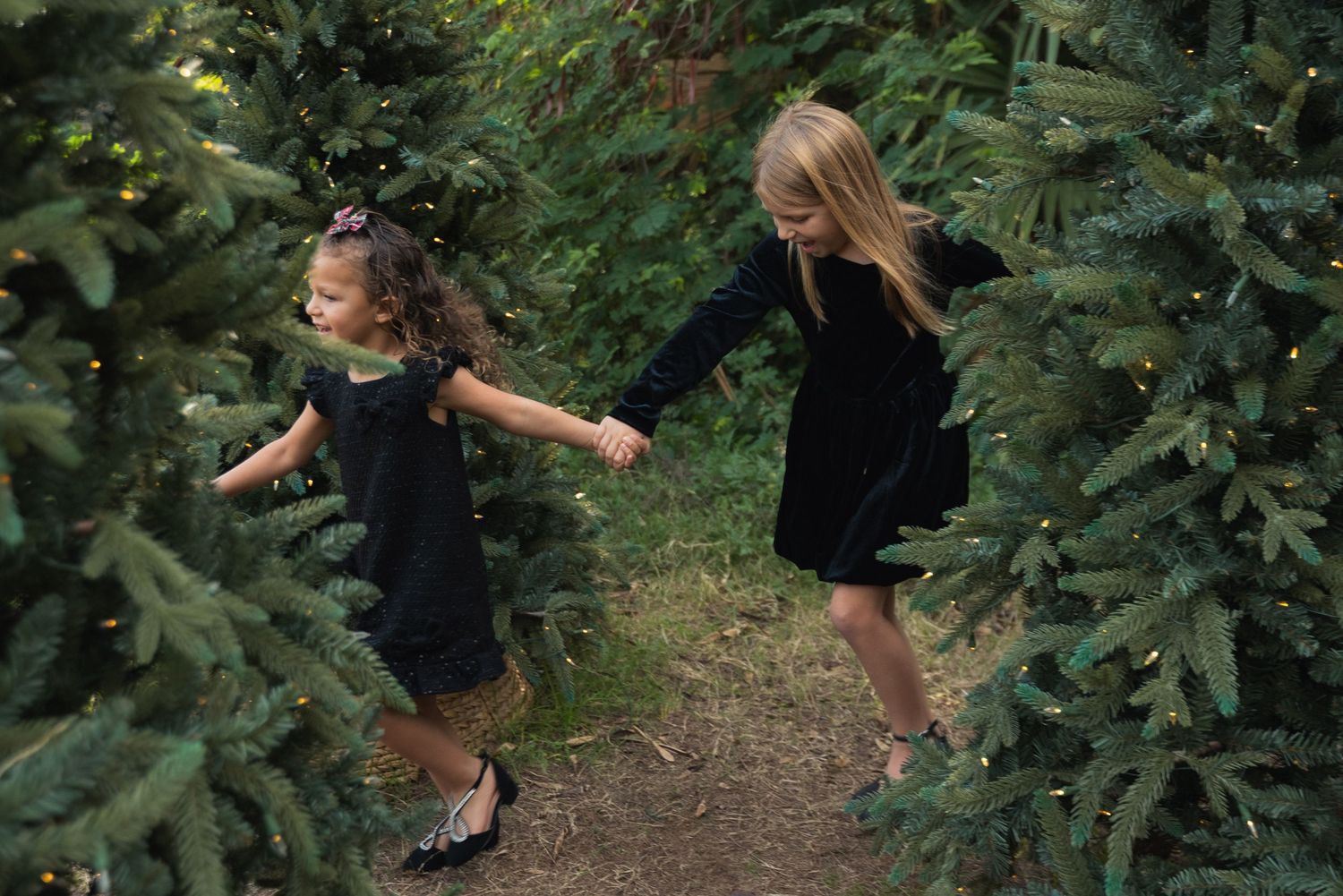 Two girls in black velvet dresses hold hands while walking through a Christmas tree farm with twinkling lights.