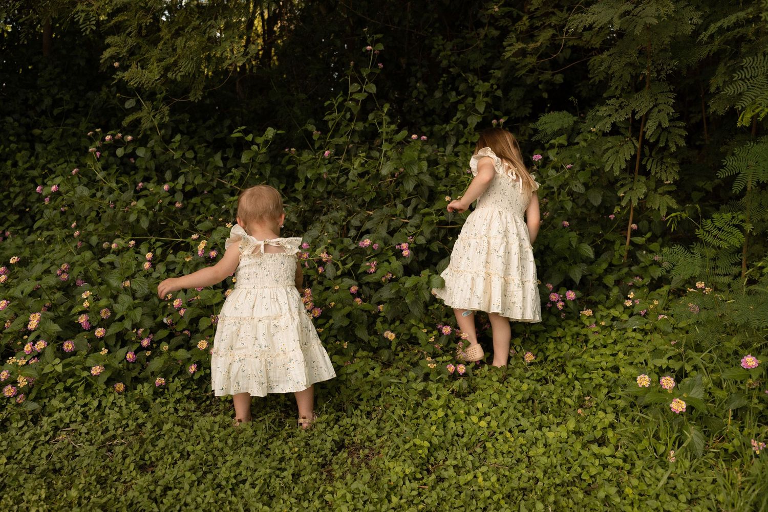 Two young girls in white floral dresses playing among pink roses and green foliage in a lush garden.