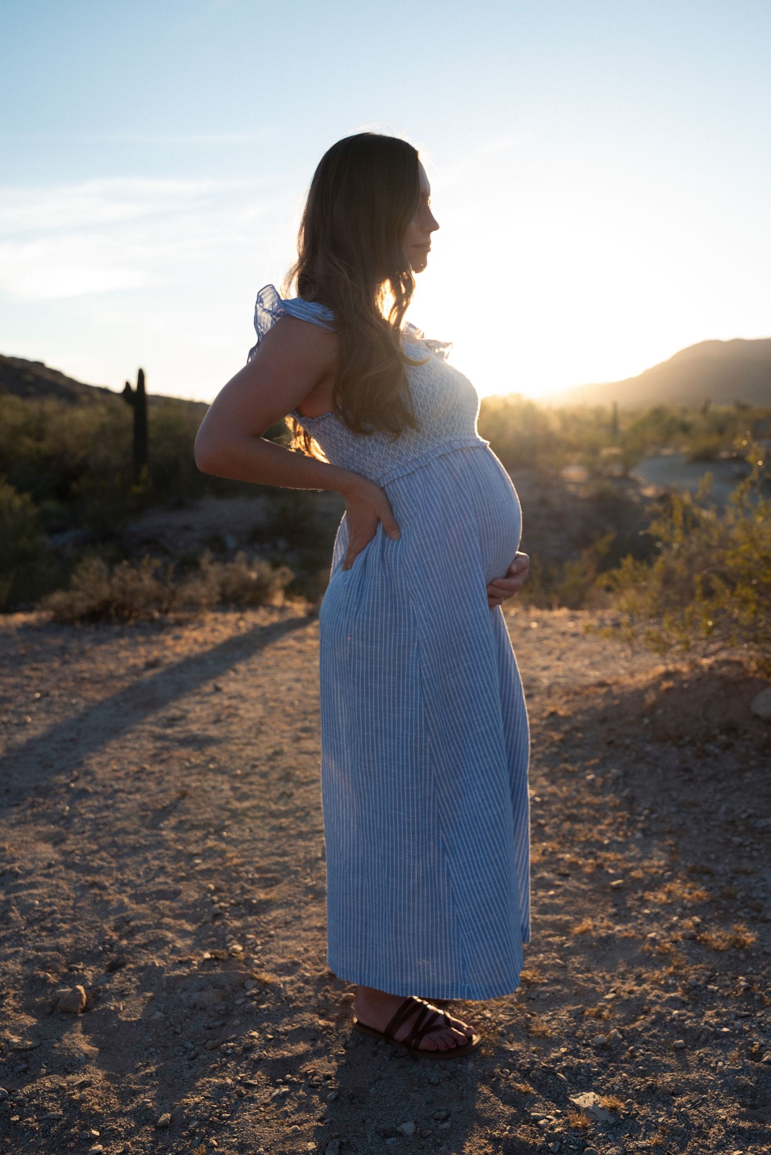 Silhouette of pregnant woman in blue dress standing against desert sunset landscape.