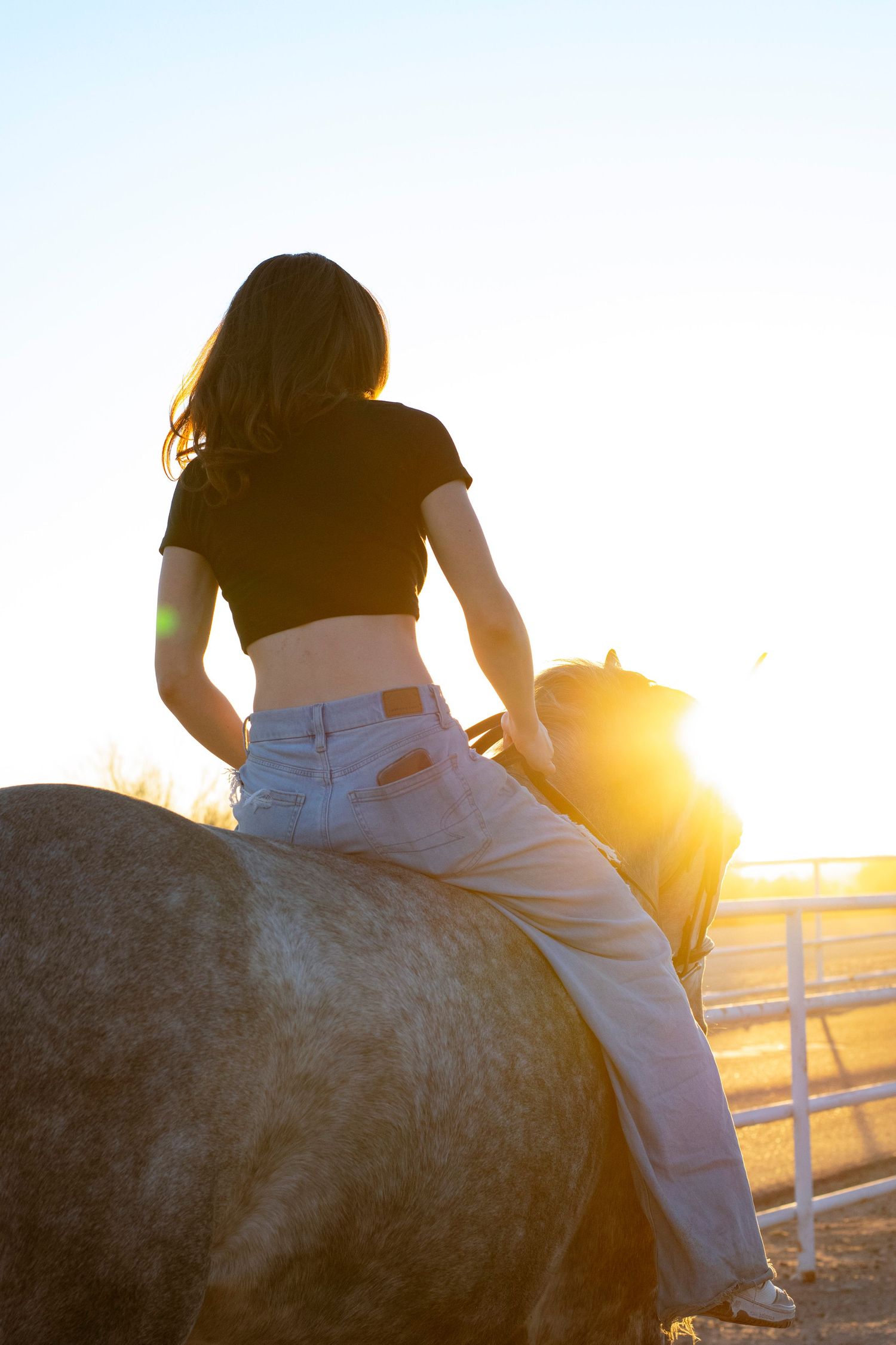 Silhouette of person riding horseback during sunset with lens flare.