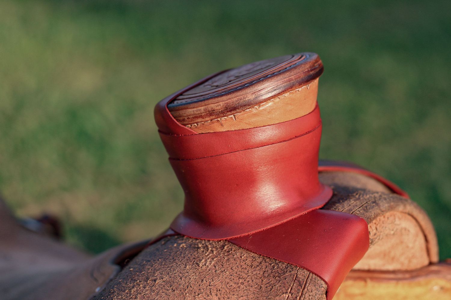 Detail of red leather horse tack equipment against green grass background.