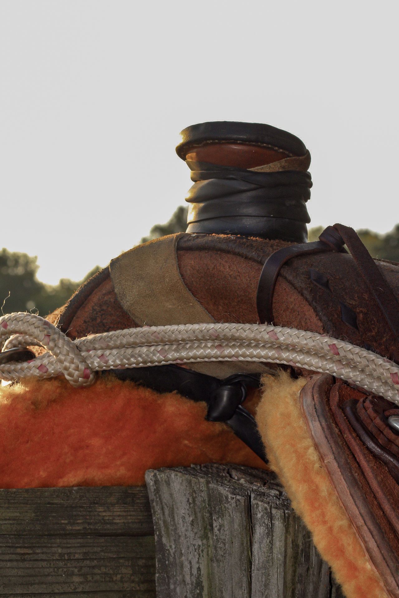 Detail shot of brown leather saddle and rope against wooden post.