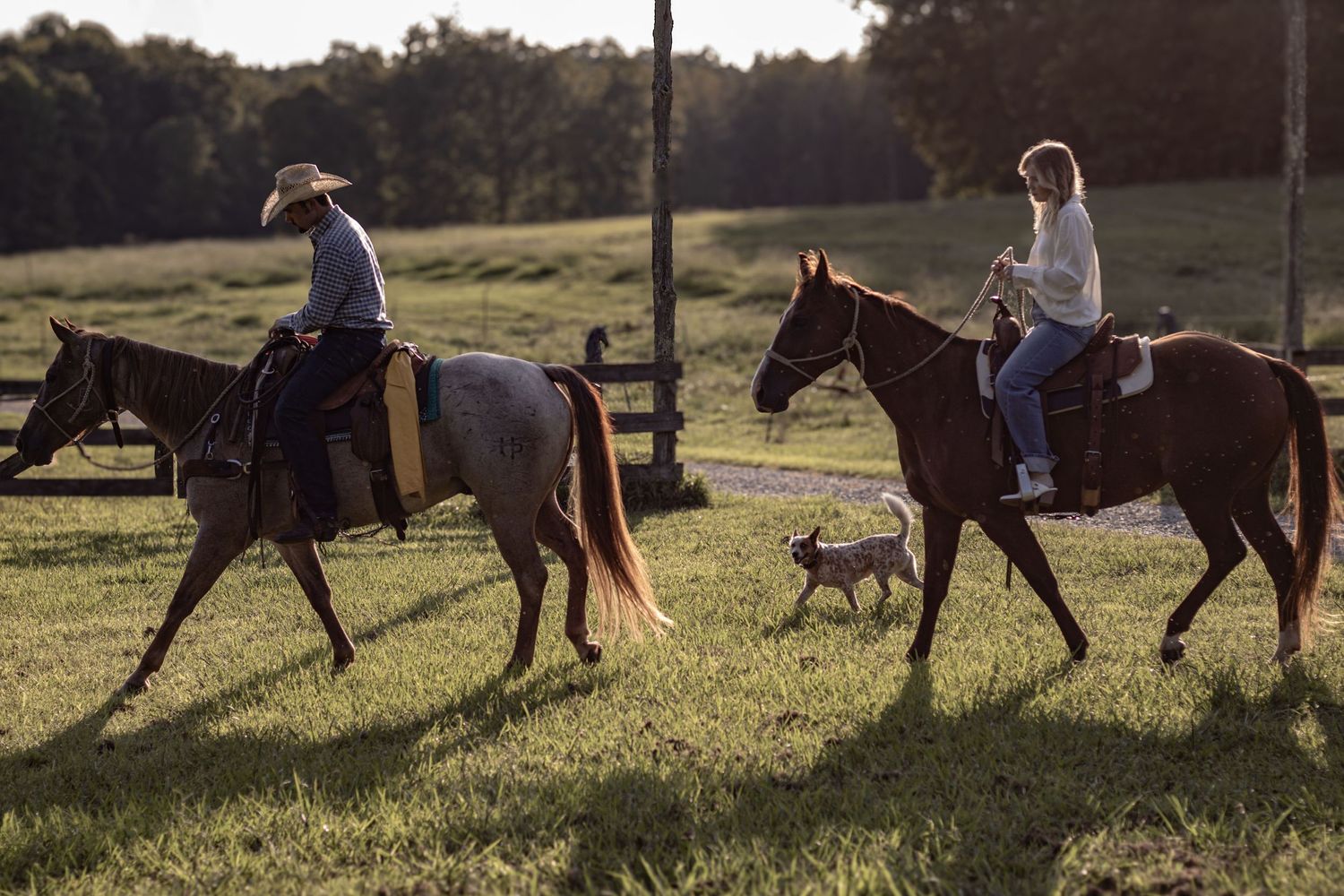 Riders on horseback with dog following during sunset trail ride.