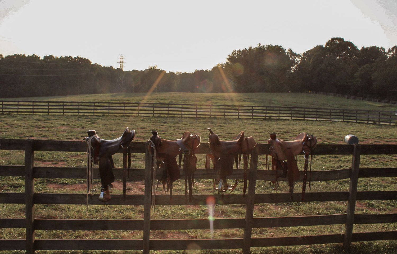 Row of western saddles lined up on wooden fence at sunset.
