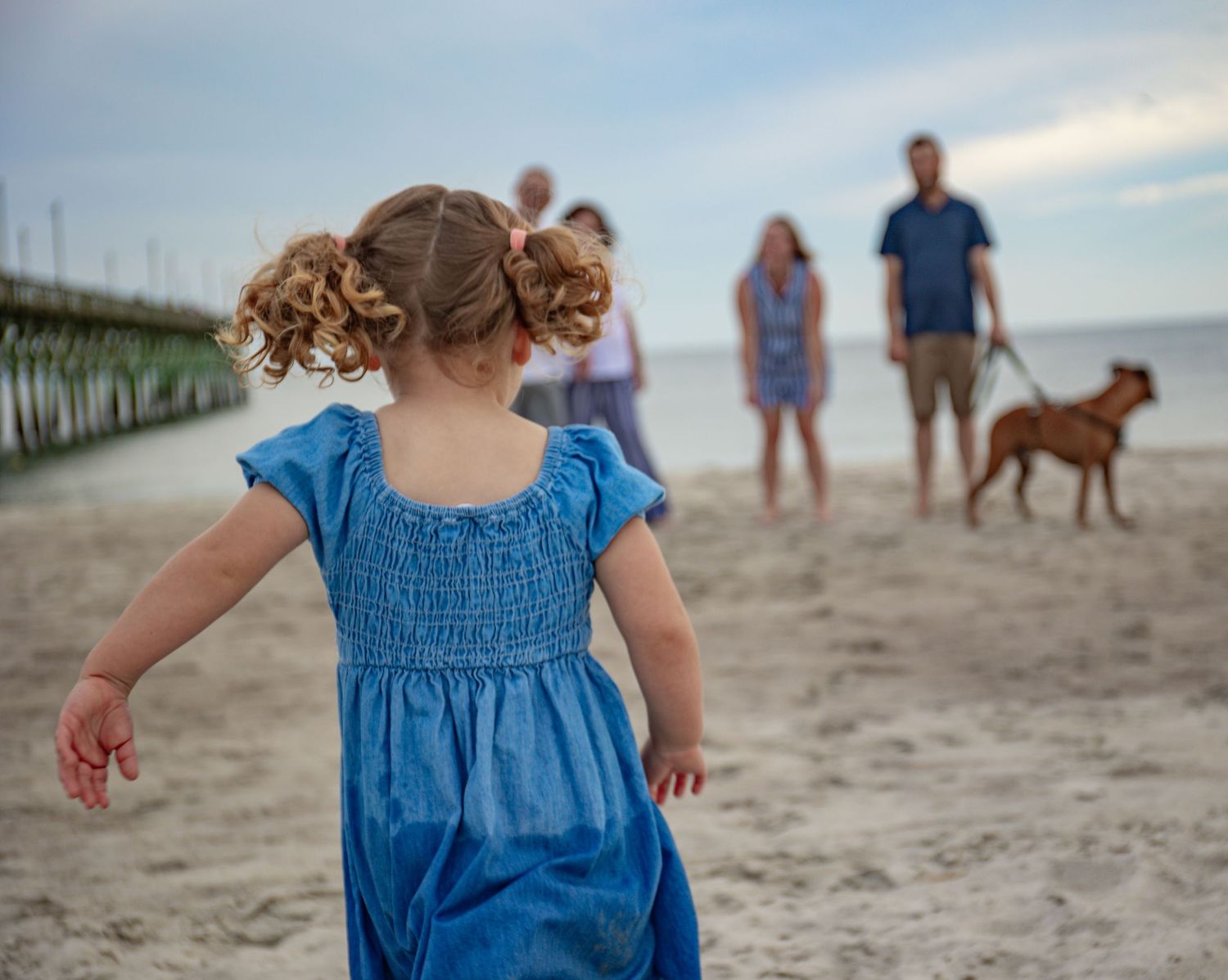 A person in a blue dress walks along a sandy beach with figures and a dog visible in the background.