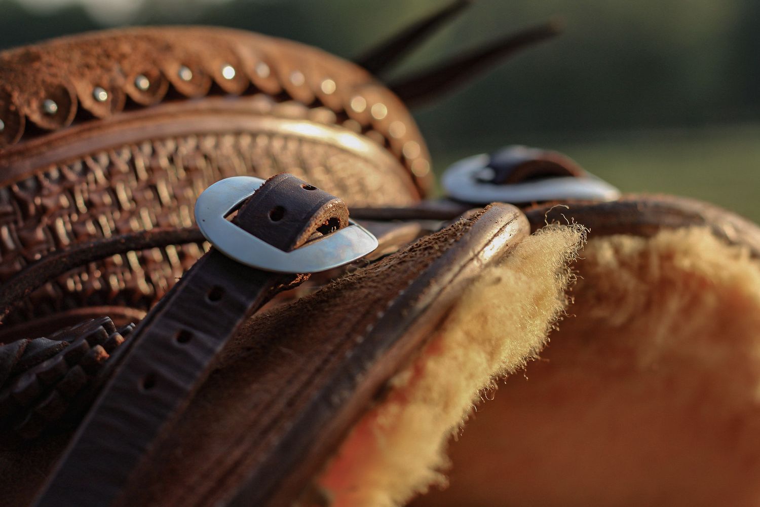 Detail of silver buckles against sheepskin padding on western saddle.