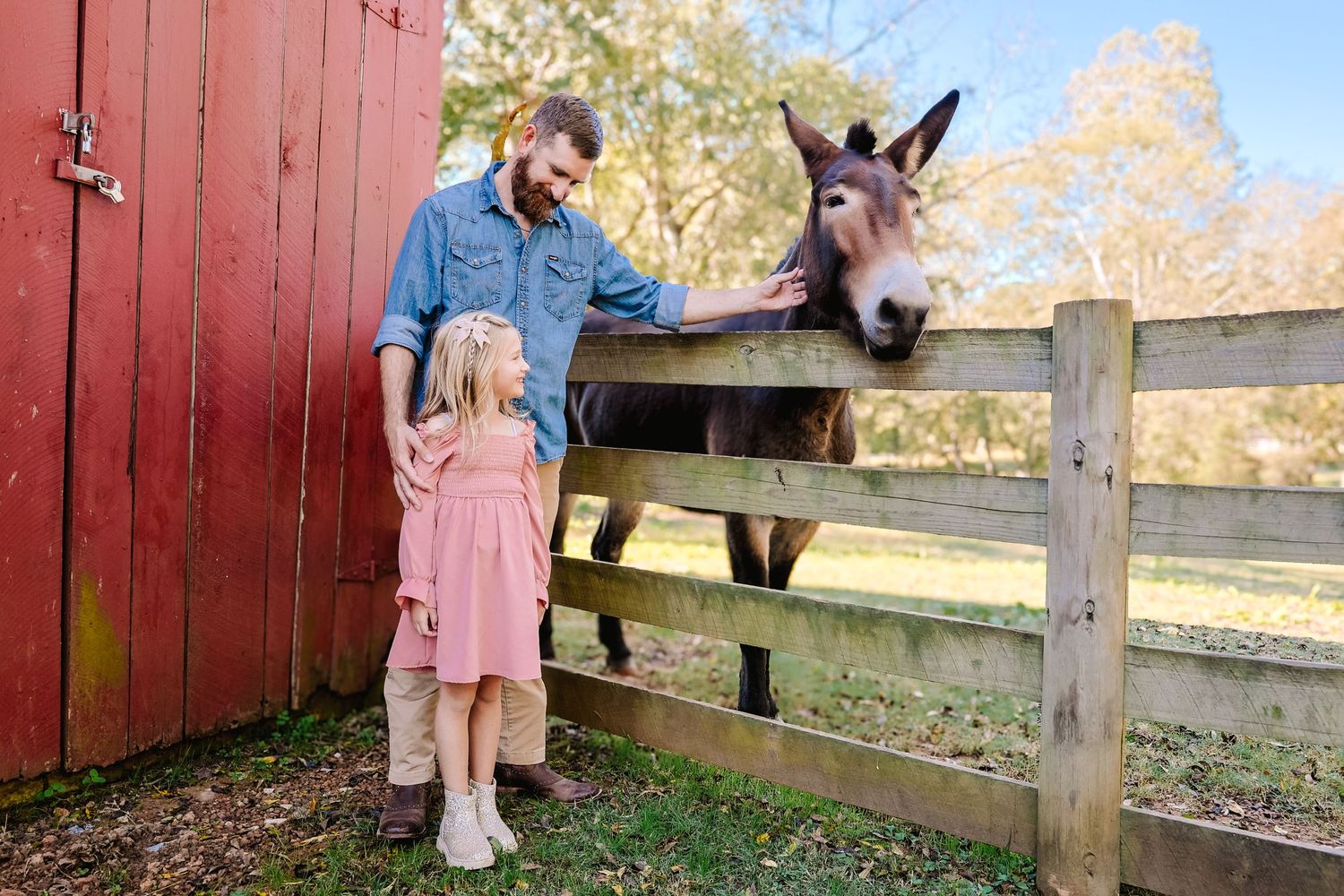 Two people stand near a red barn while petting a friendly donkey through a wooden fence in an autumn setting.