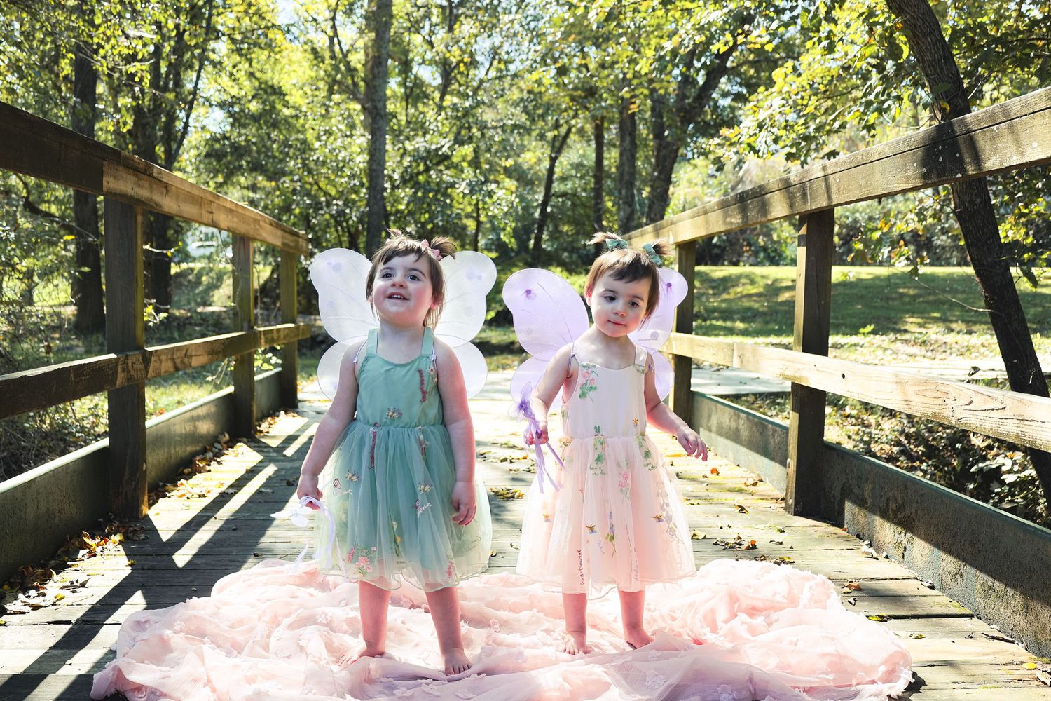 A wooden bridge path surrounded by trees creates a charming outdoor setting.