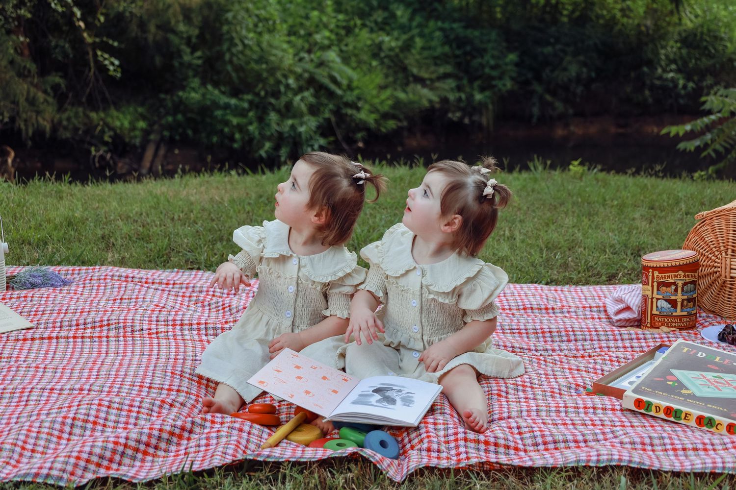 A red checkered picnic blanket with drinks and snacks laid out on green grass.