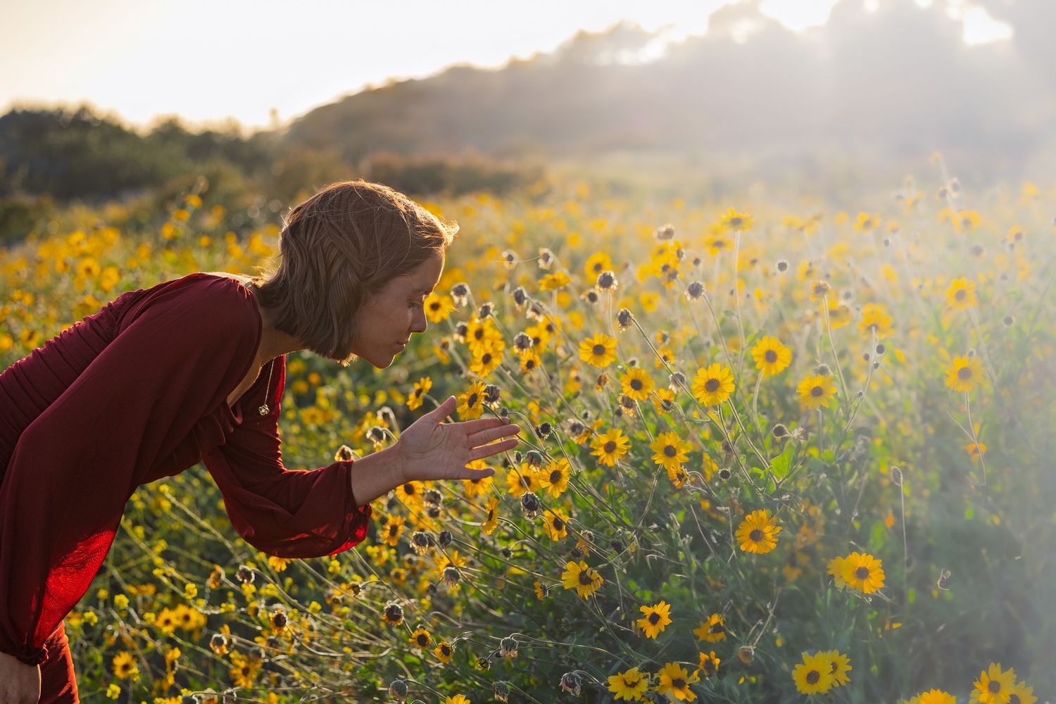 Someone in a red sweater bends down to smell bright yellow wildflowers in a sunlit meadow on a misty morning.