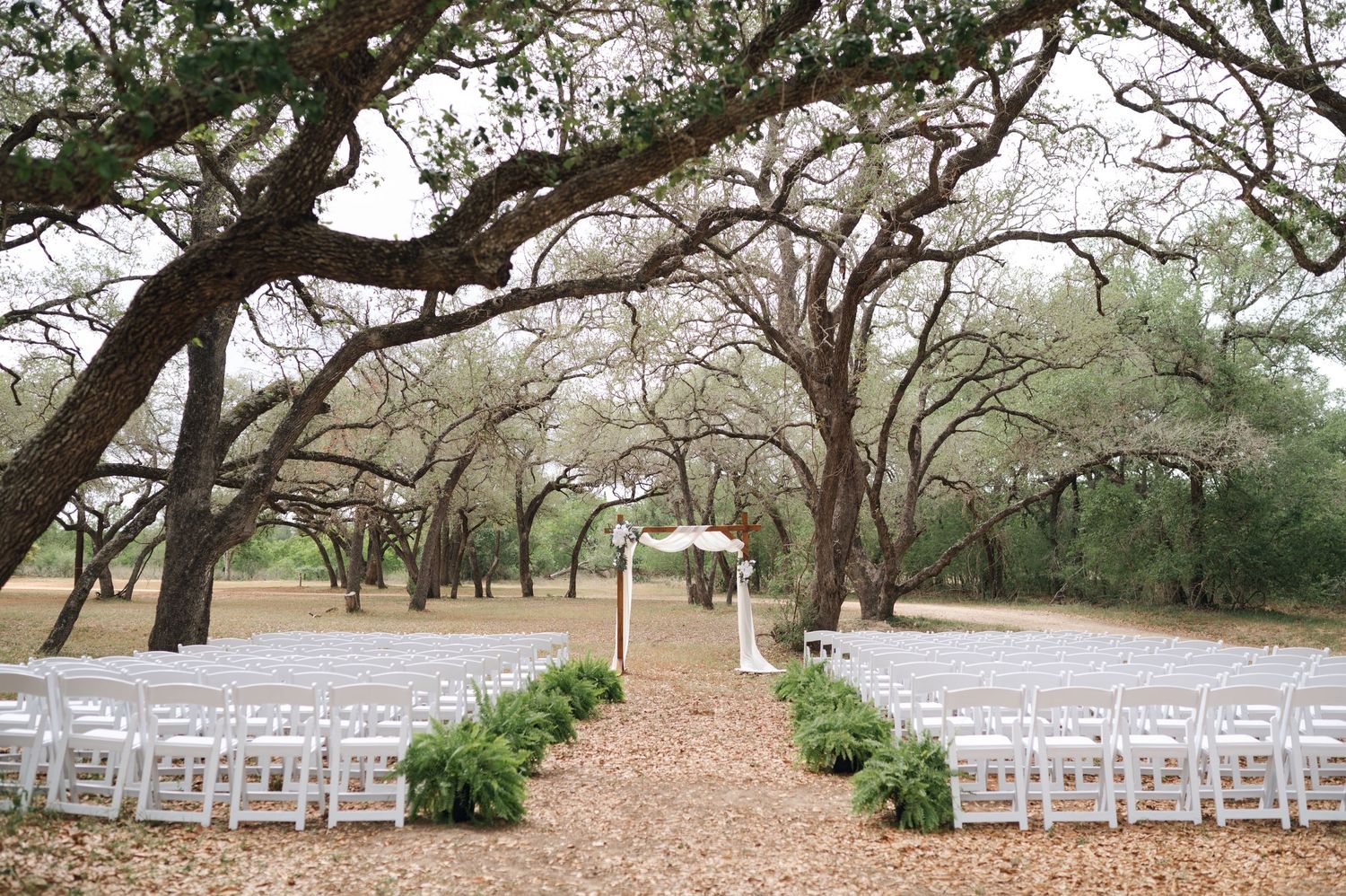 Outdoor wedding ceremony setup with white chairs lining a leaf-covered aisle under sprawling oak trees.