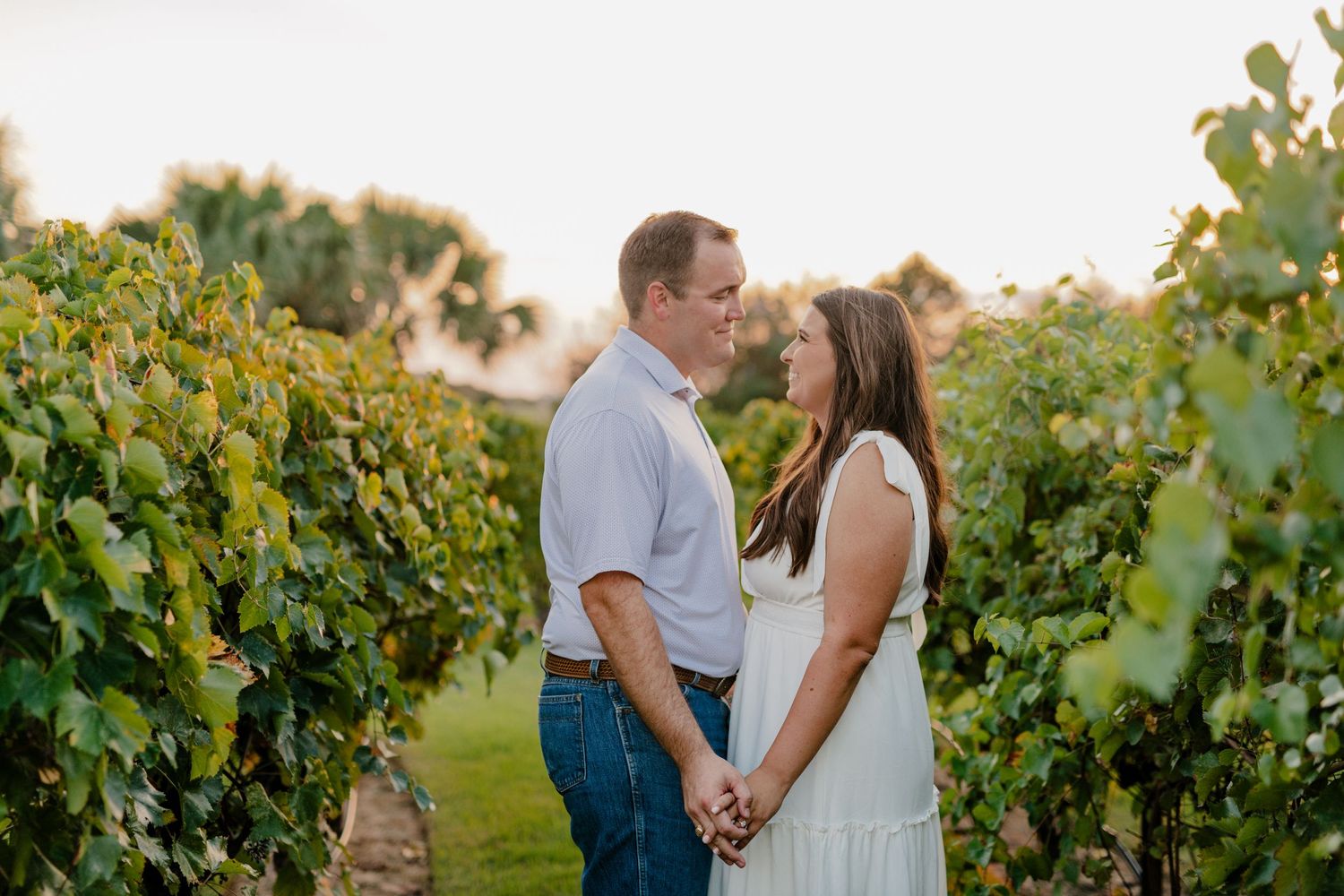 A romantic sunset moment between a couple in a vineyard as they gaze at each other amid rows of grapevines.