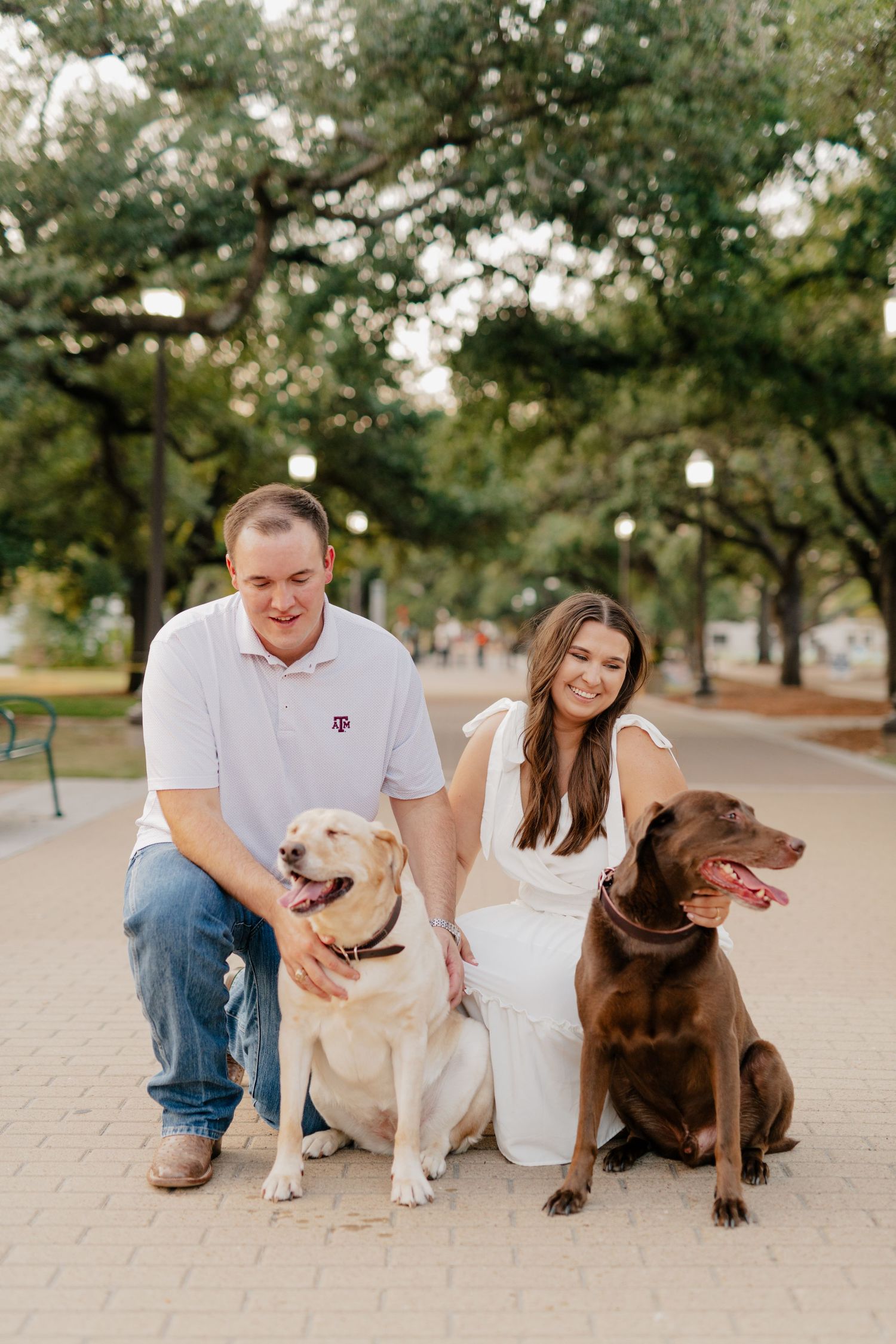 A couple smiles with their yellow and chocolate Labrador retrievers on a brick pathway.