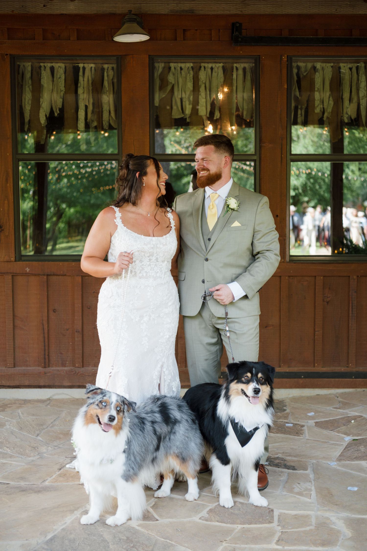 Bride and groom smiling together with two Australian Shepherds wearing bowties outside a rustic barn venue.