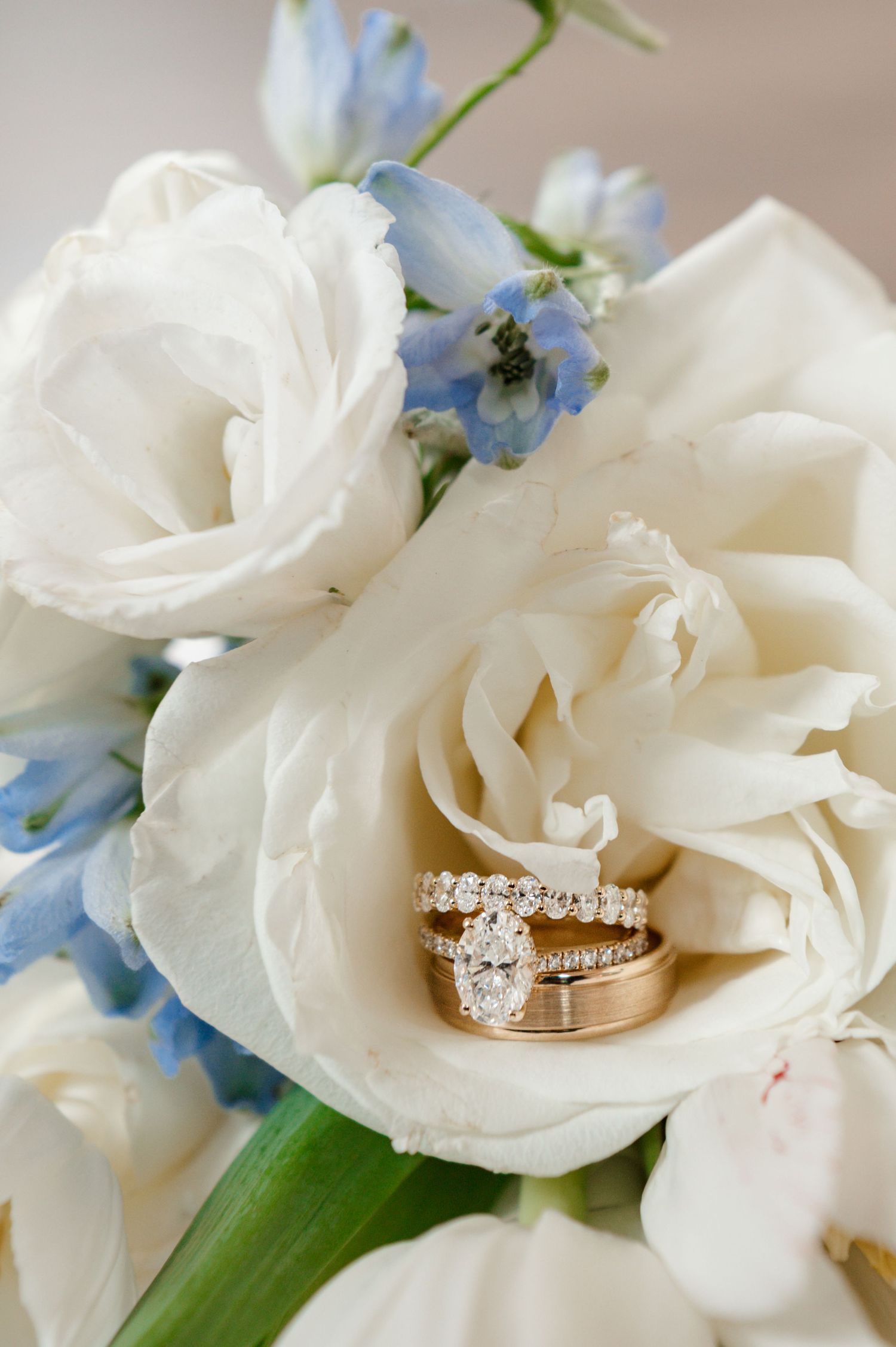 A bouquet of white roses and blue flowers with a pair of wedding rings nestled among the petals.