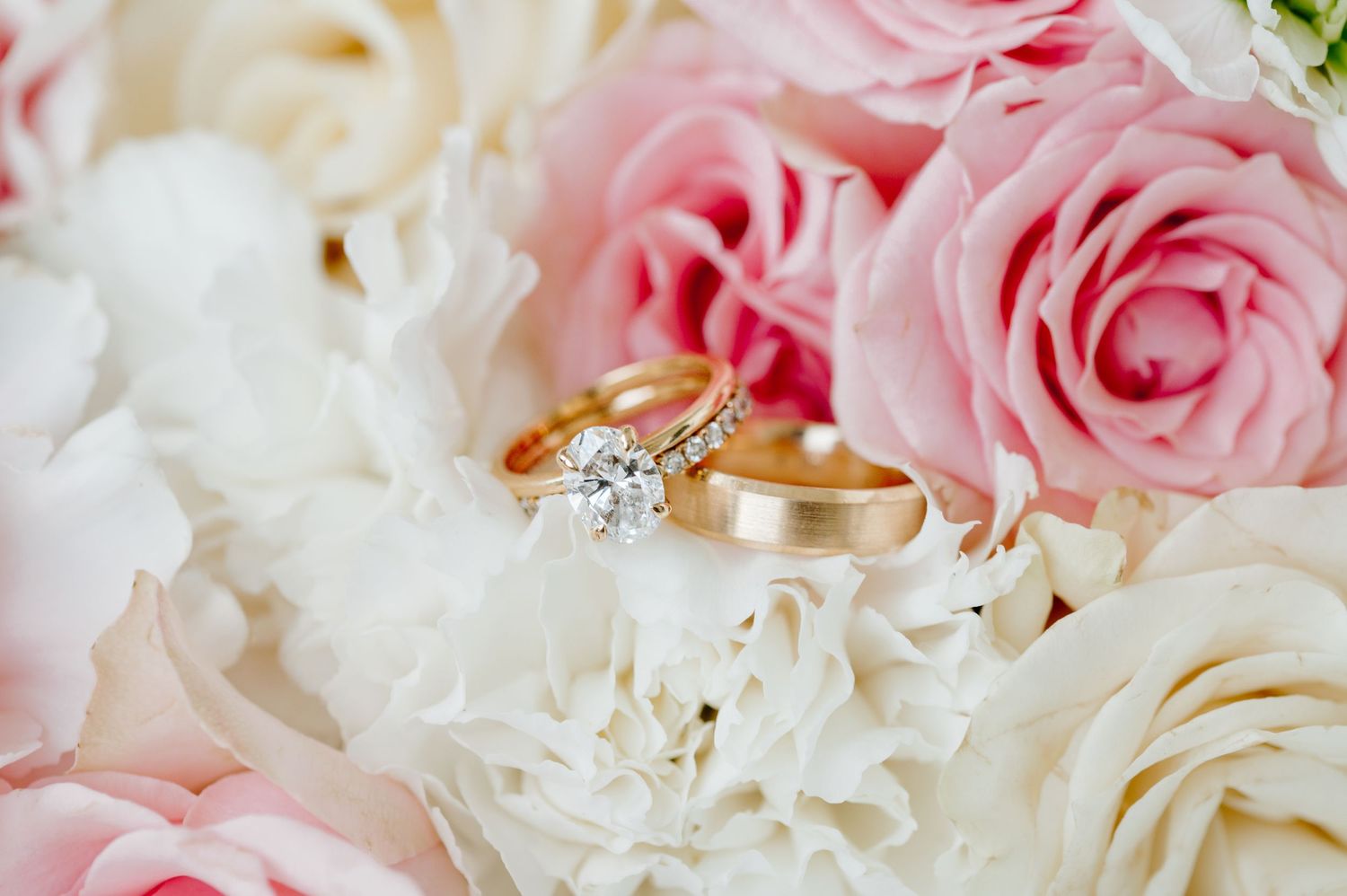 Delicate pink and white roses with engagement rings photographed up close on soft petals in romantic lighting.