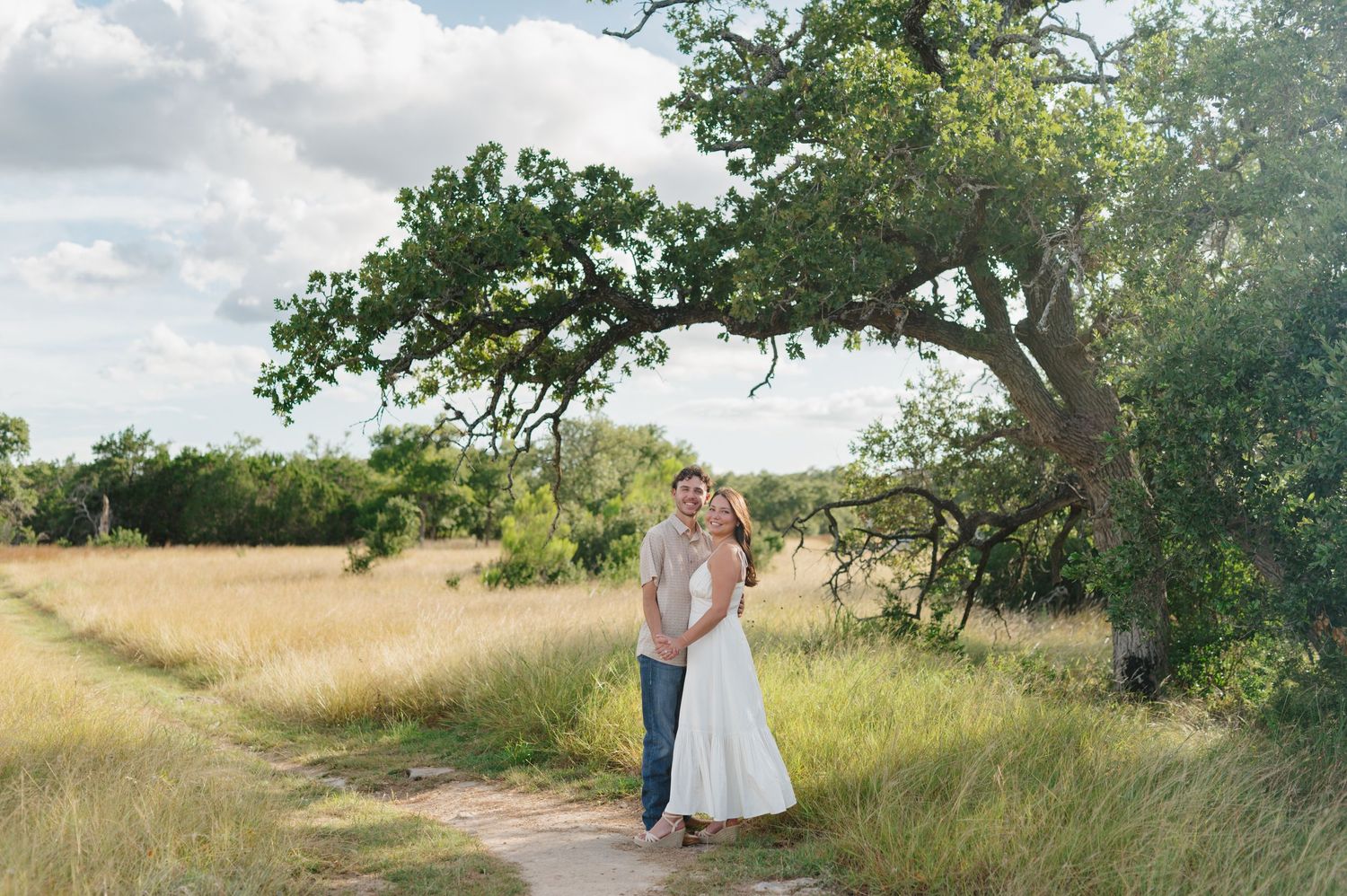 A couple shares intimate moments together in a sun-drenched meadow with golden grass and green trees.