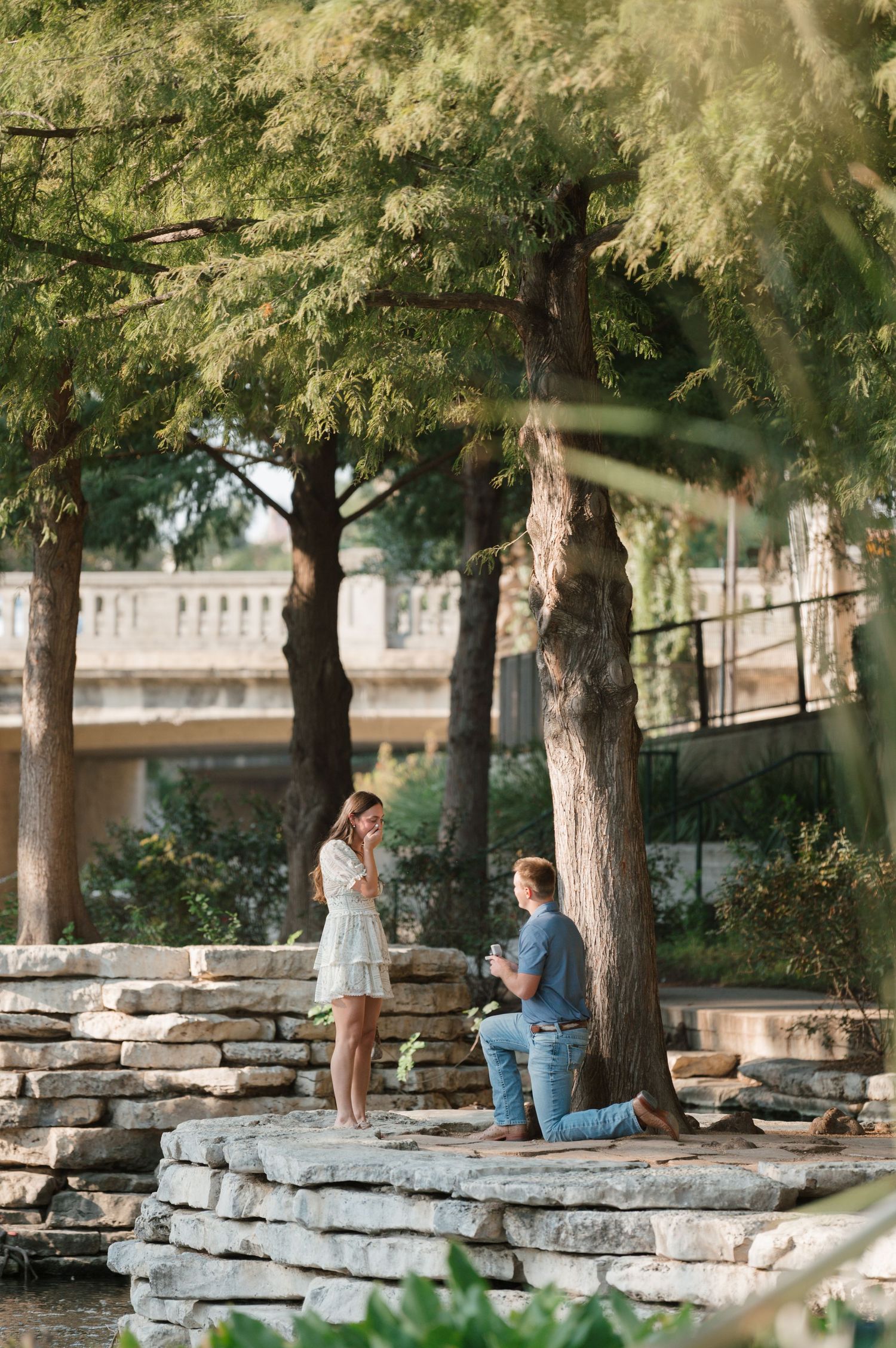 A couple sits on stone steps surrounded by trees in a romantic outdoor garden setting during a proposal moment.