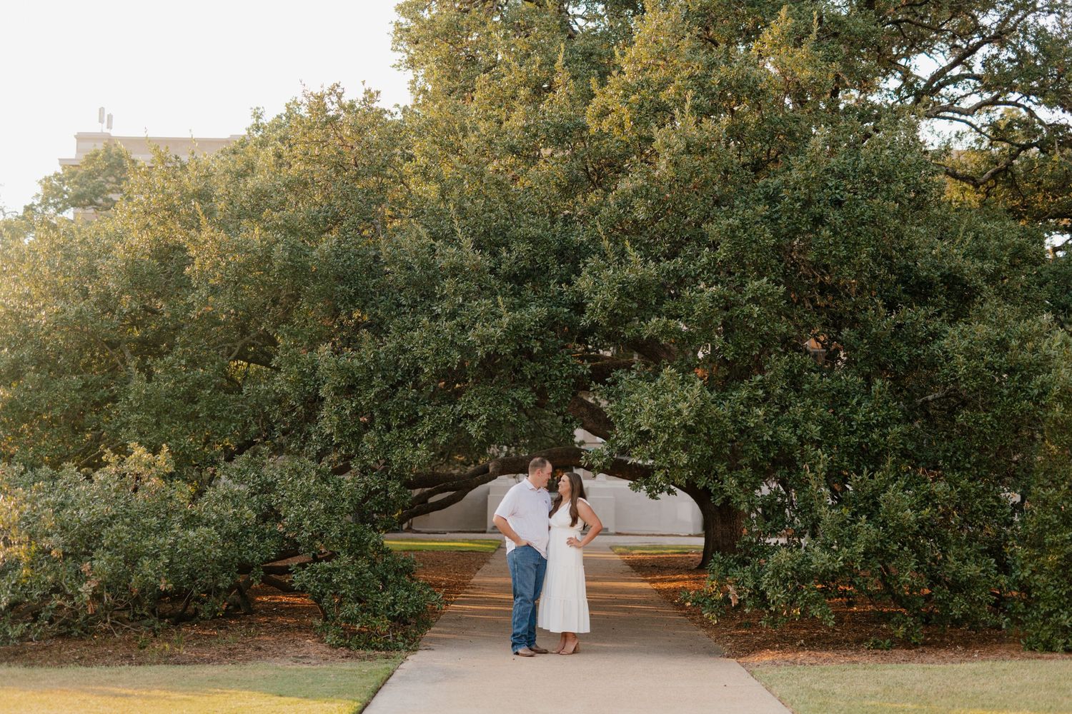 A couple stands together under a large oak tree, the century tree, on a paved pathway at Texas A&M University.