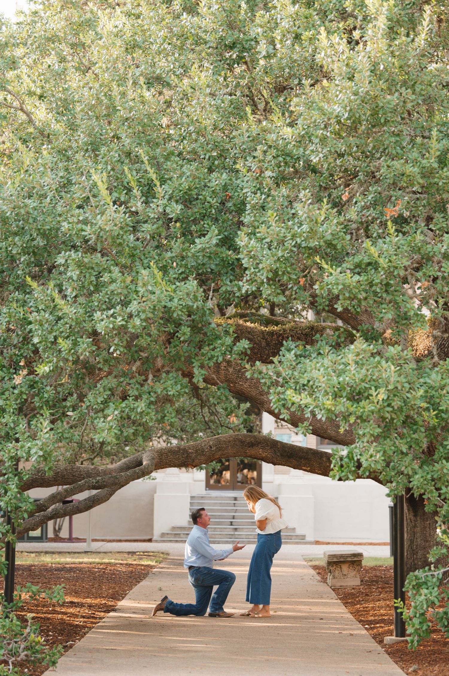 Marriage proposal taking place under a large oak tree along a white stone path in a serene garden setting.
