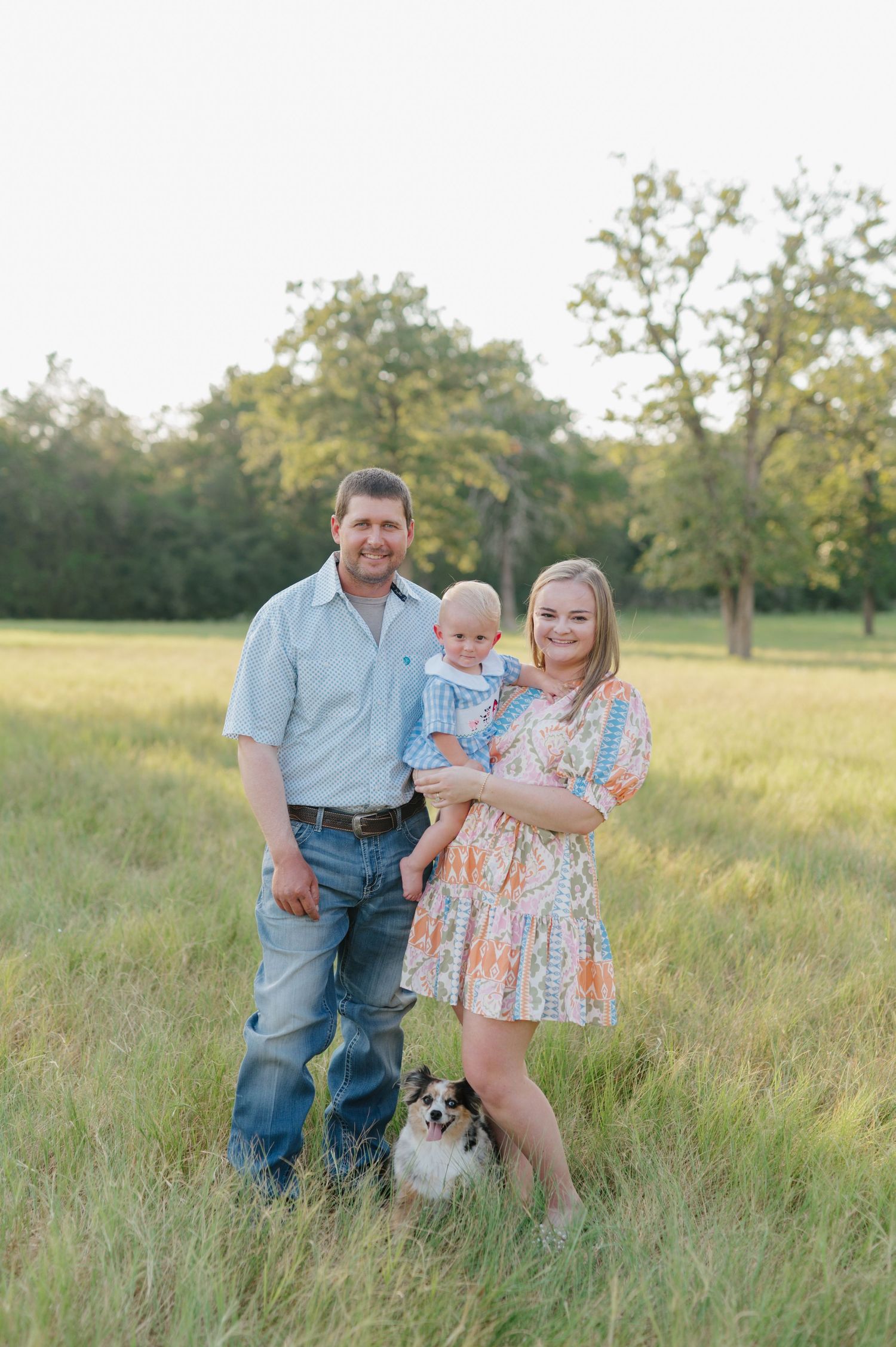 Family and their small dog pose together in a golden sunlit field during a summer photo session.