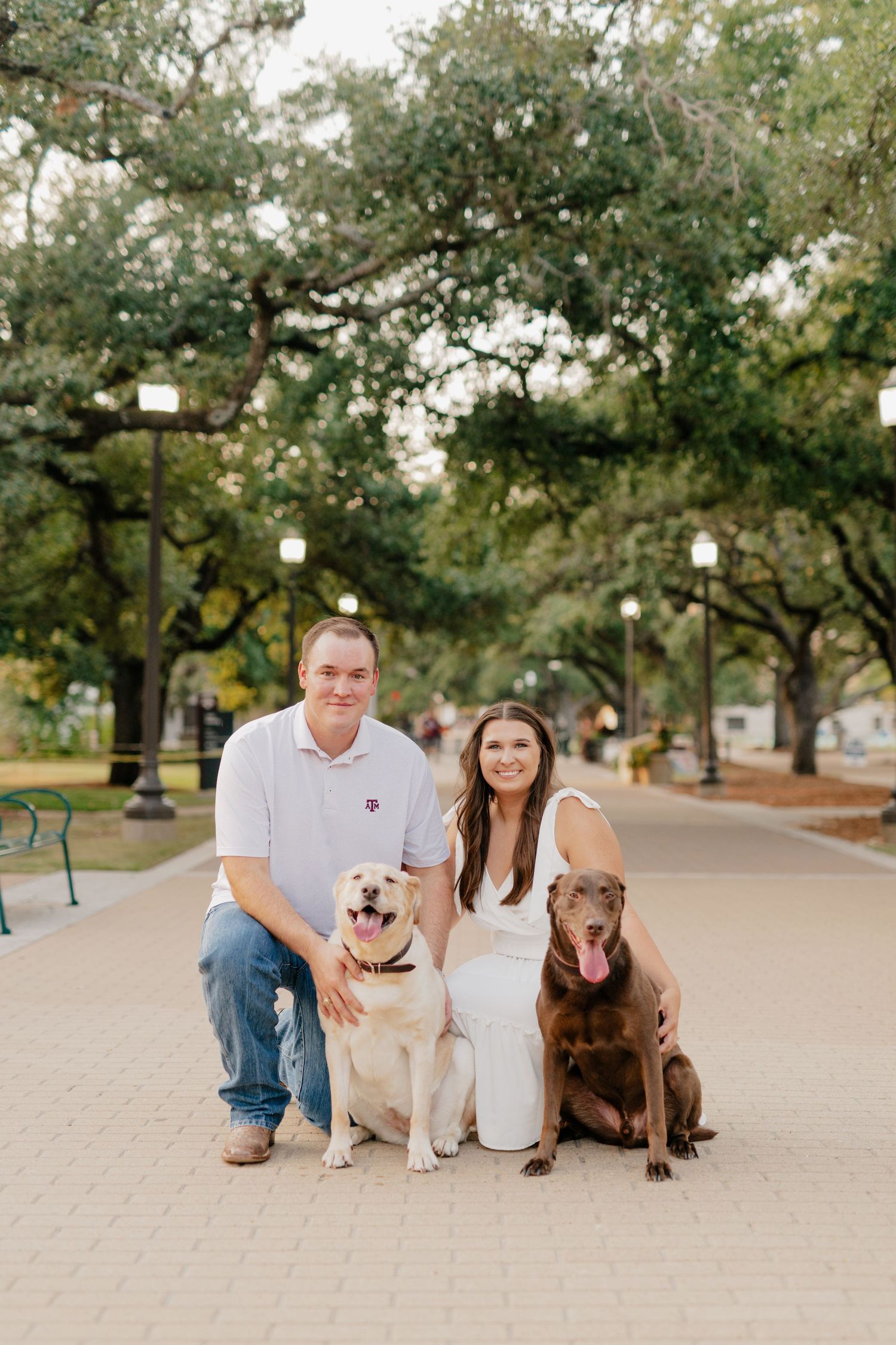 A couple sits with their two dogs on a lamp-lit campus pathway.