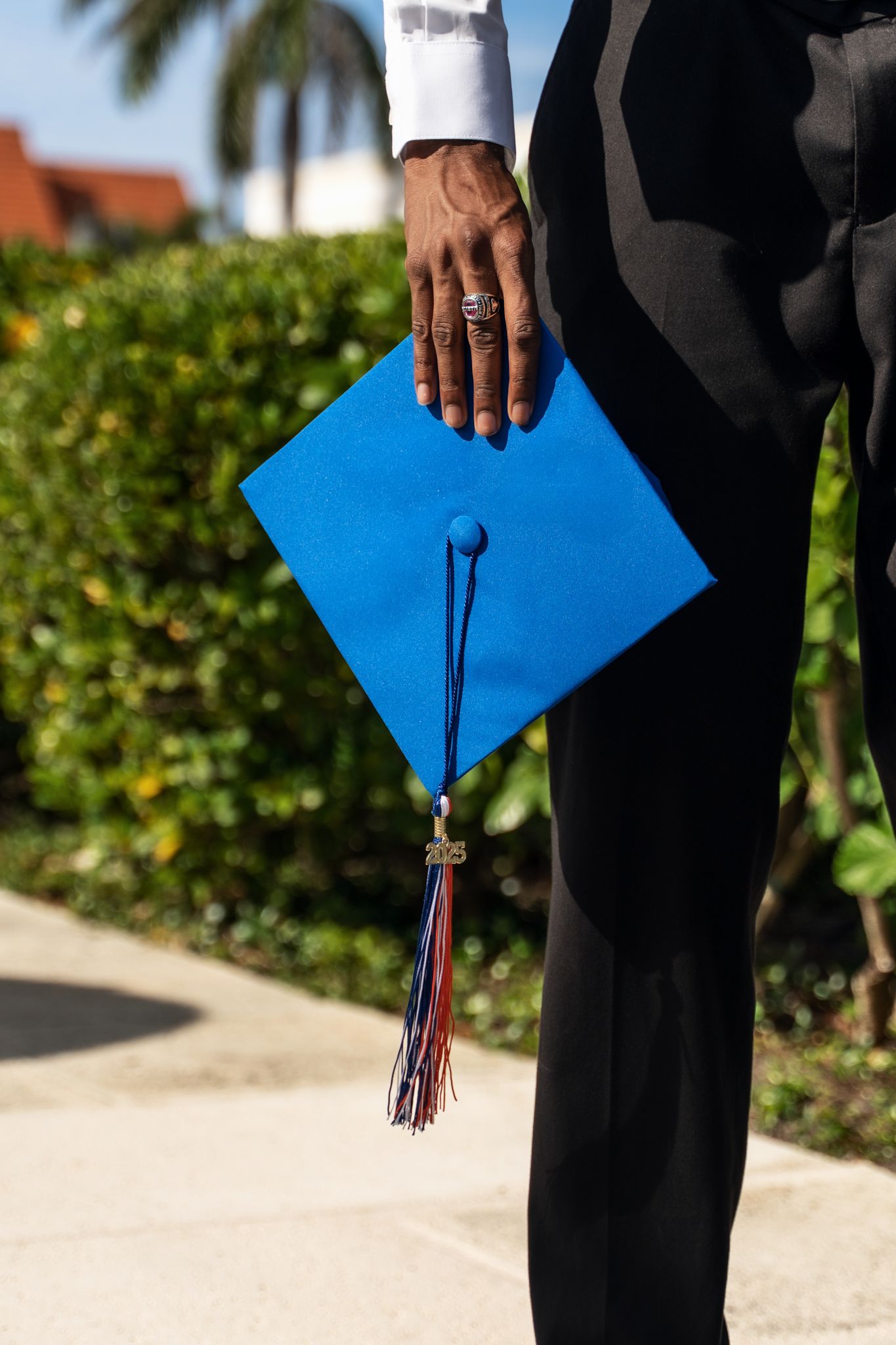Graduate holding bright blue graduation cap with colorful tassel standing outdoors on sunny day near palm tree.
