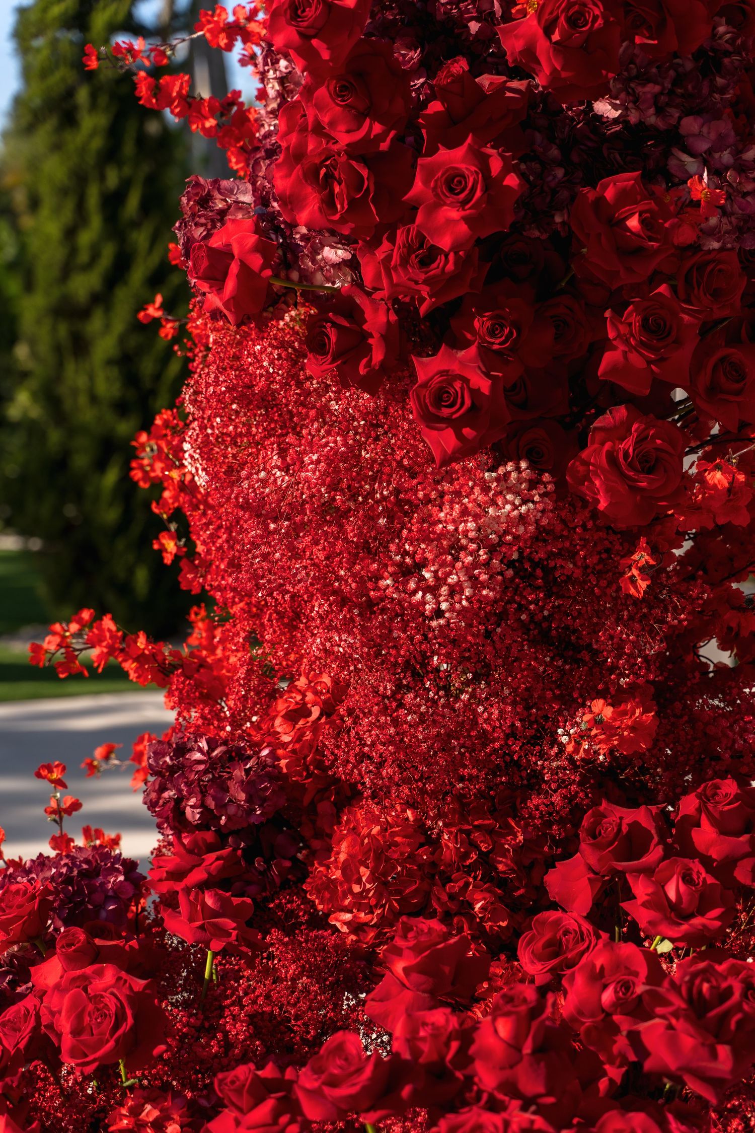 Stunning arrangement of vibrant red roses and baby's breath flowers cascading in an elegant display.