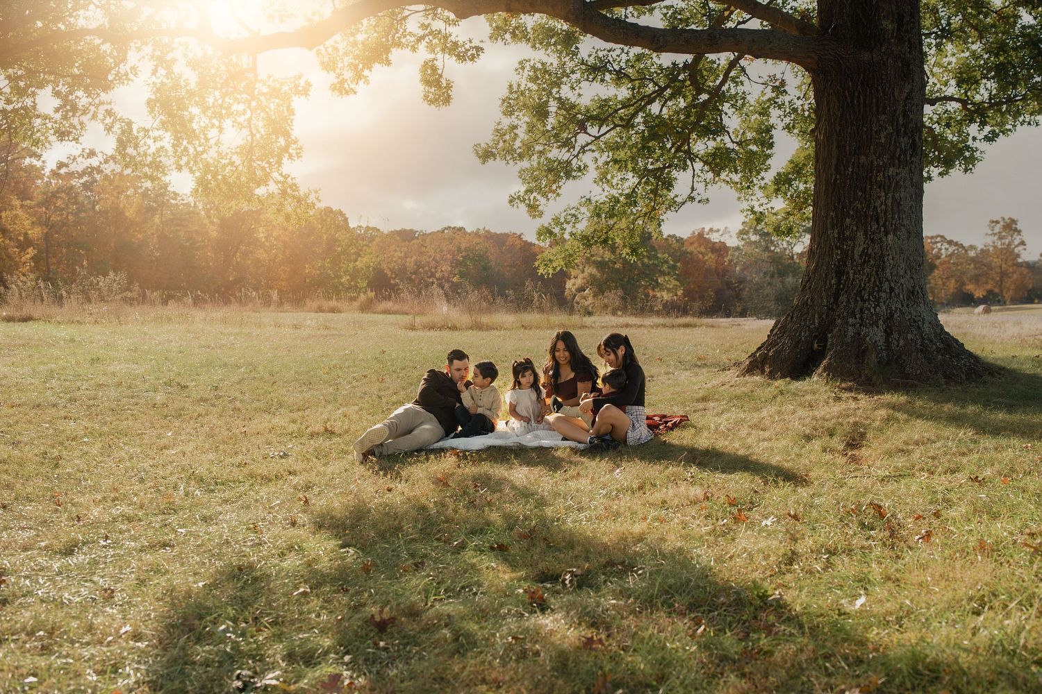 Group of friends having a picnic under a large tree at sunset in a grassy field.