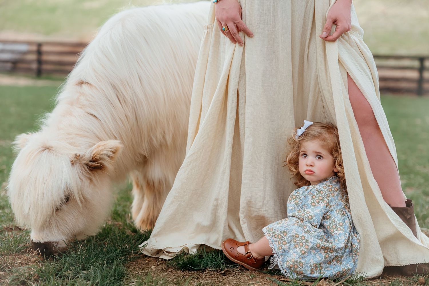Playful interactions between couple and cream-colored pony in rustic farm setting.