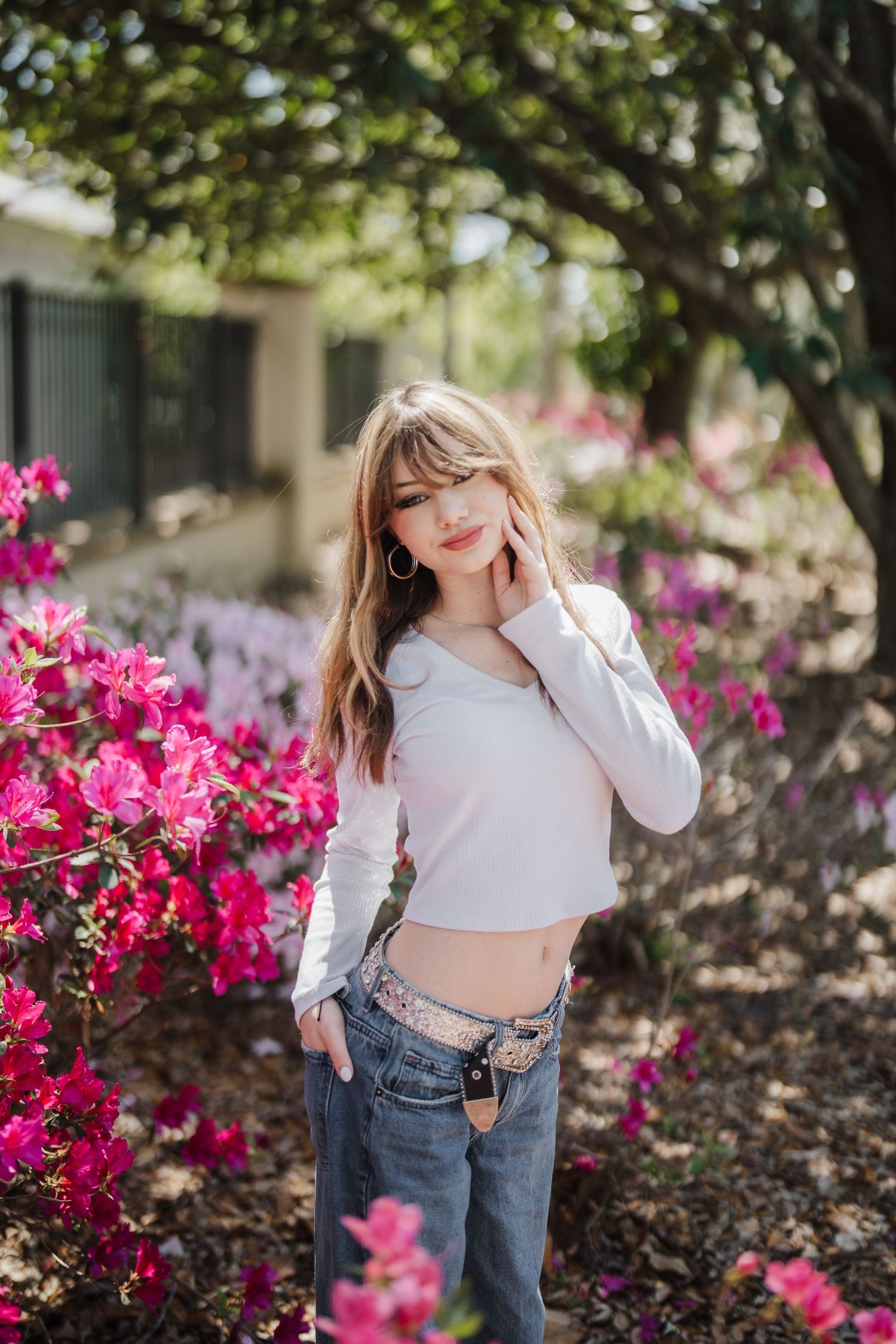 Bright pink bougainvillea flowers bloom vibrantly in a sunny garden landscape.