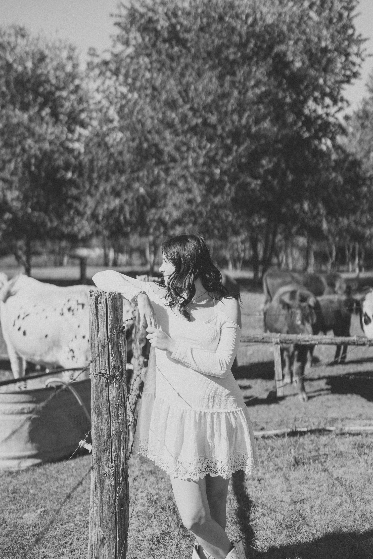 Black and white photo of a rustic countryside scene with wooden fence posts in natural lighting.