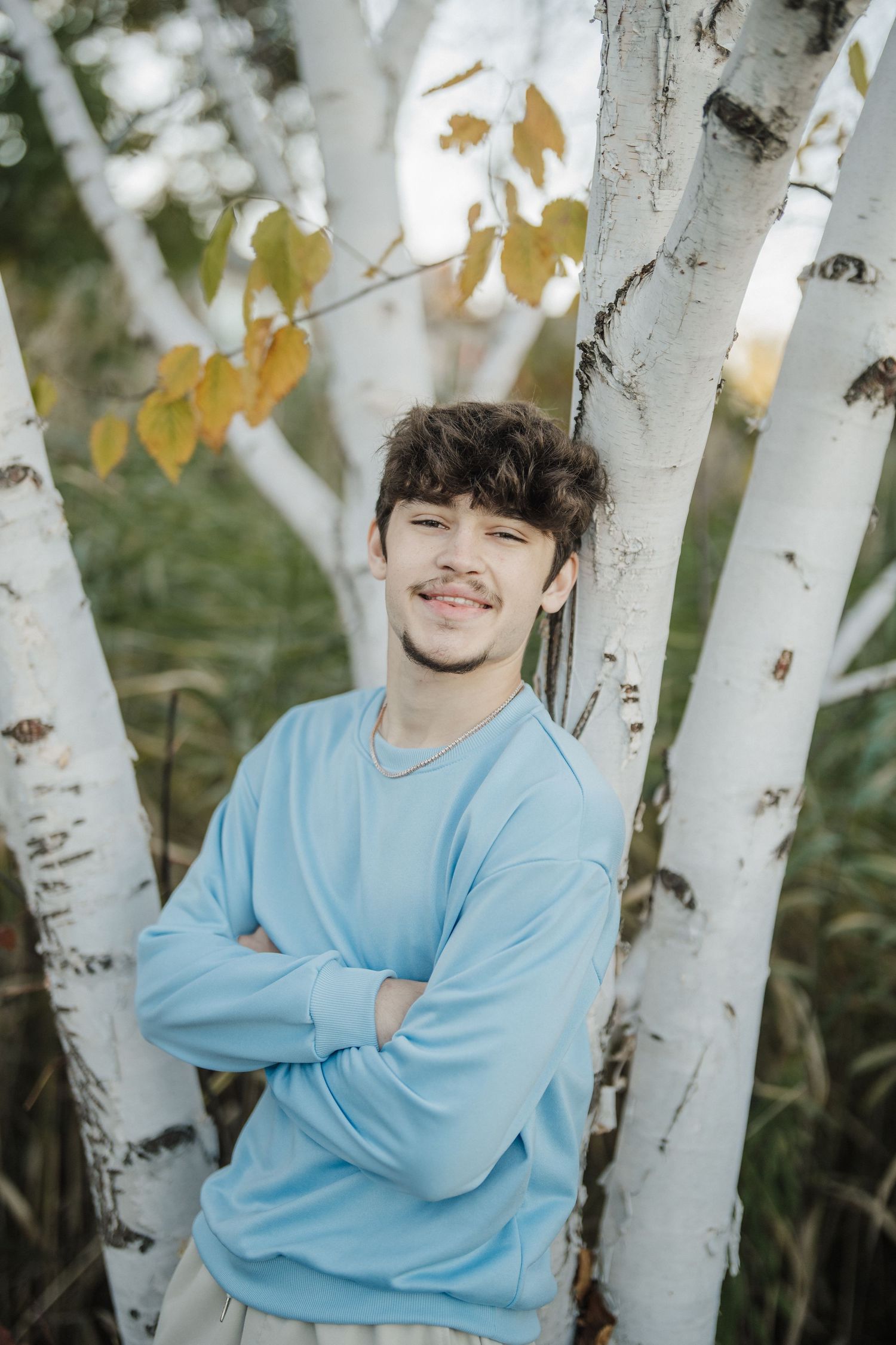 Someone in a light blue sweater poses against white birch trees with yellow autumn leaves.