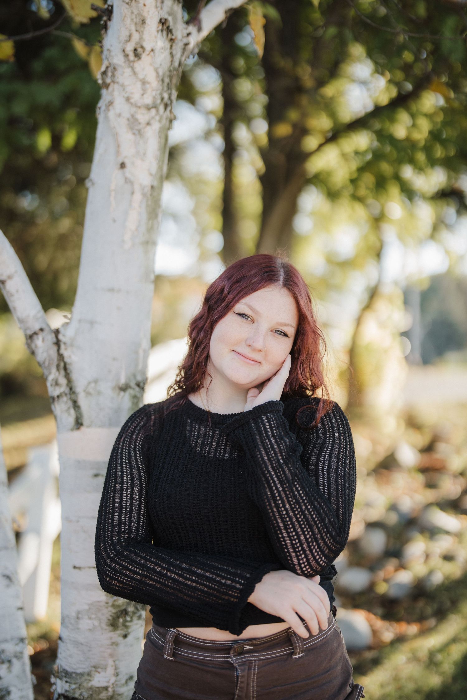Autumn outdoor photo with golden sunlight filtering through trees behind birch trunk.
