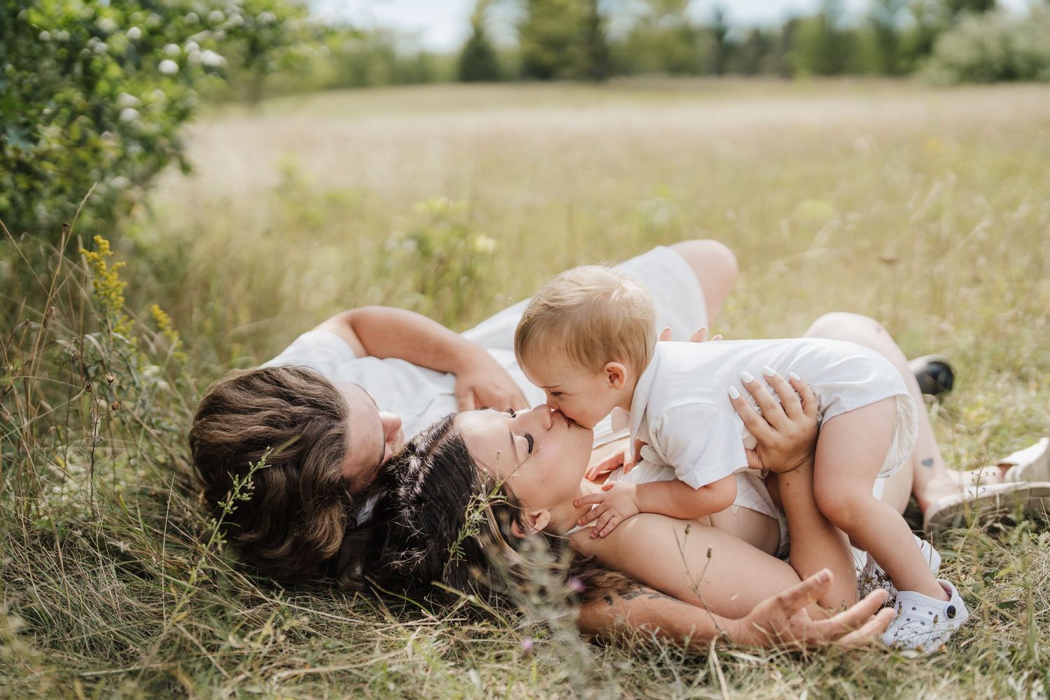 A sequence of outdoor family portraits showing tender moments in a sunlit meadow with tall grass.
