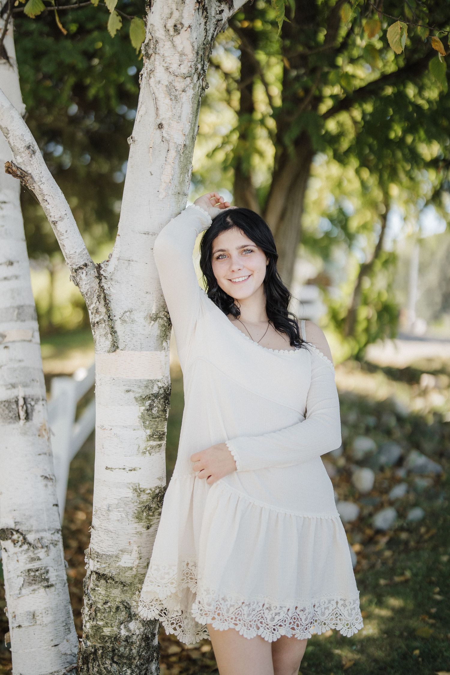 A peaceful autumn scene with white birch trees creating a natural backdrop in soft lighting.