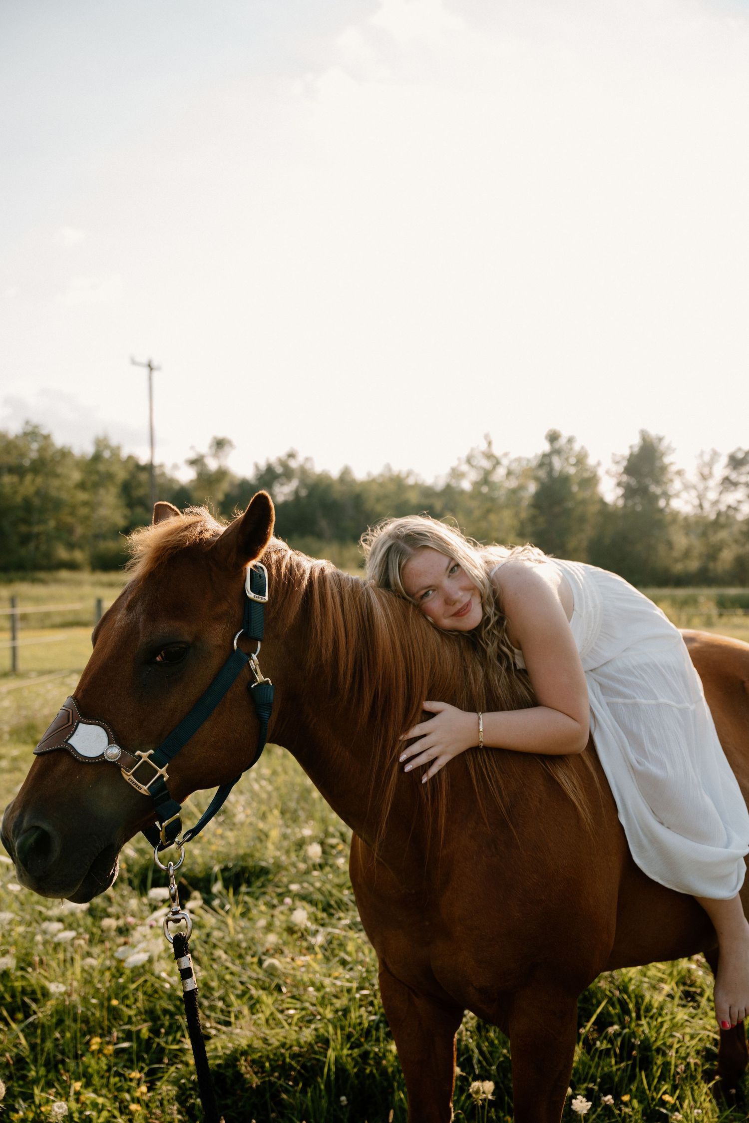 A young blonde woman in a white dress leans affectionately on a chestnut horse with a blue halter in a sunny field.