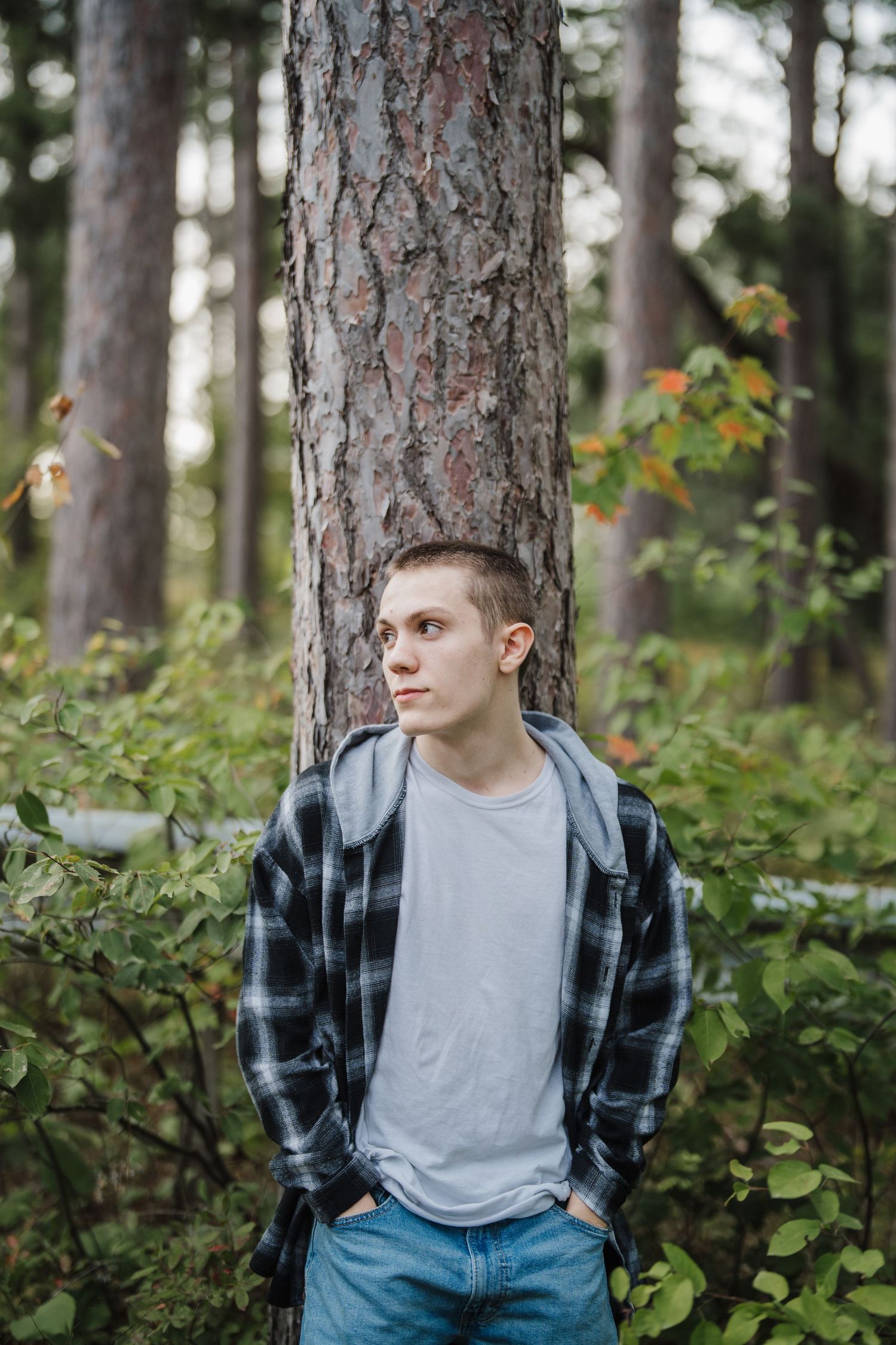 Someone in a plaid flannel shirt and jeans stands casually against a large pine tree trunk in a forest setting.