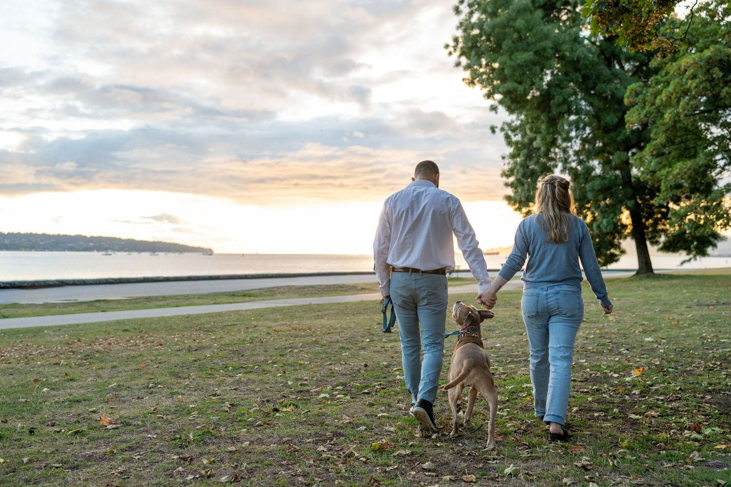Couple holding hands walking dog in park near waterfront at sunset.