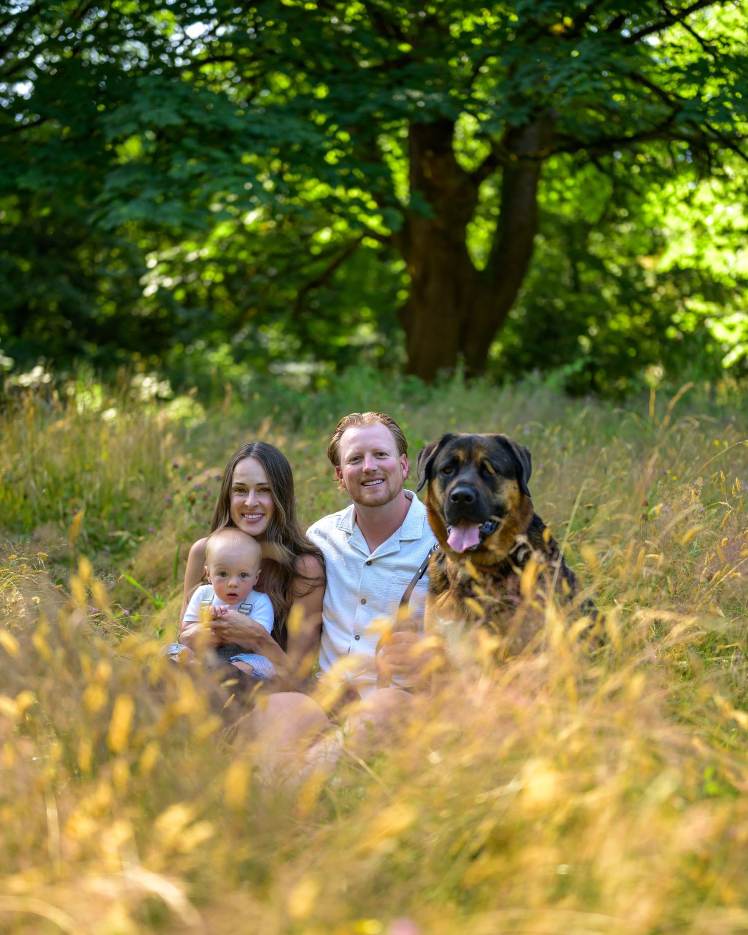 Family relaxing with their dog in a sunlit meadow with golden grass.