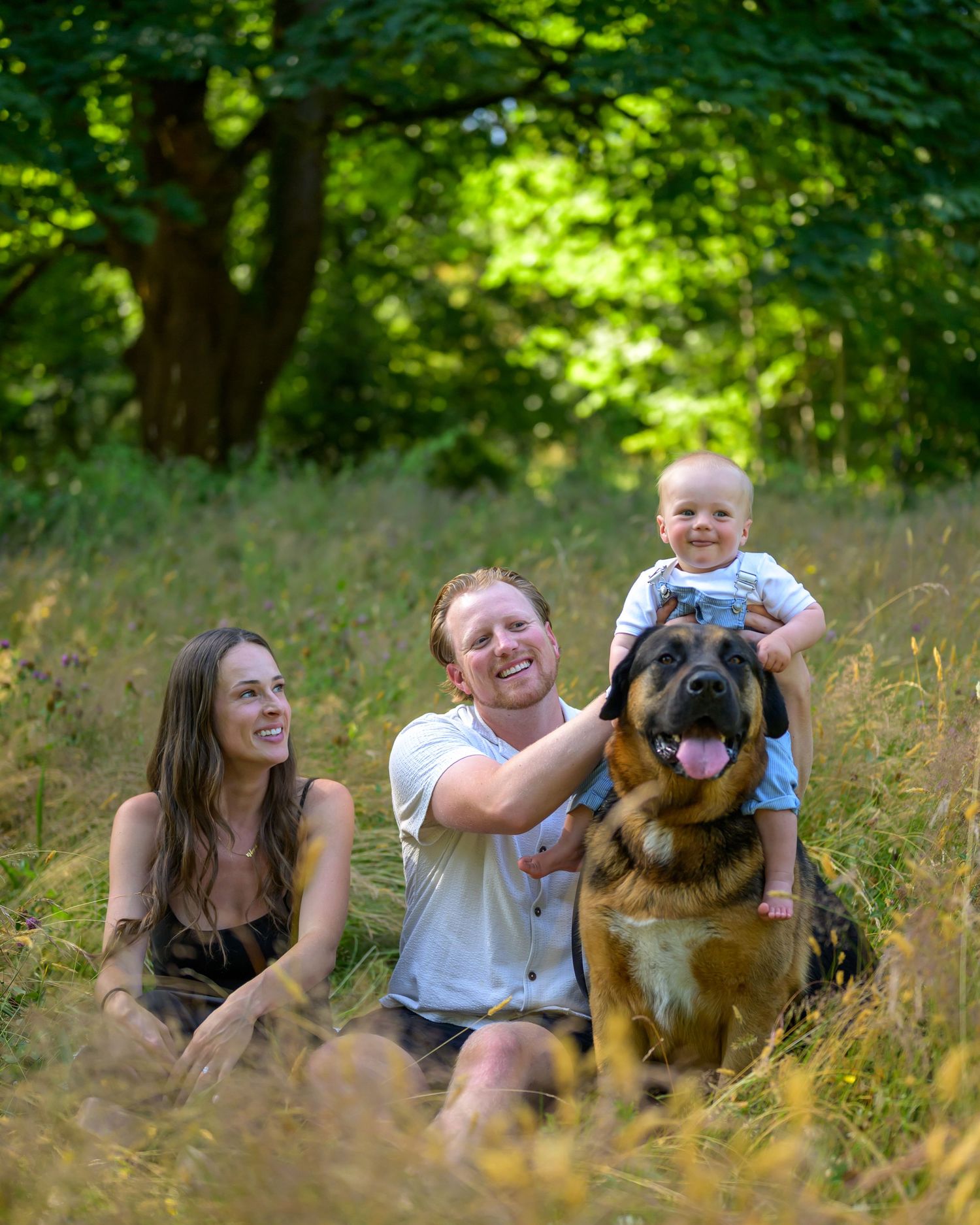 Happy family and their German Shepherd dog lounging in tall summer grass.
