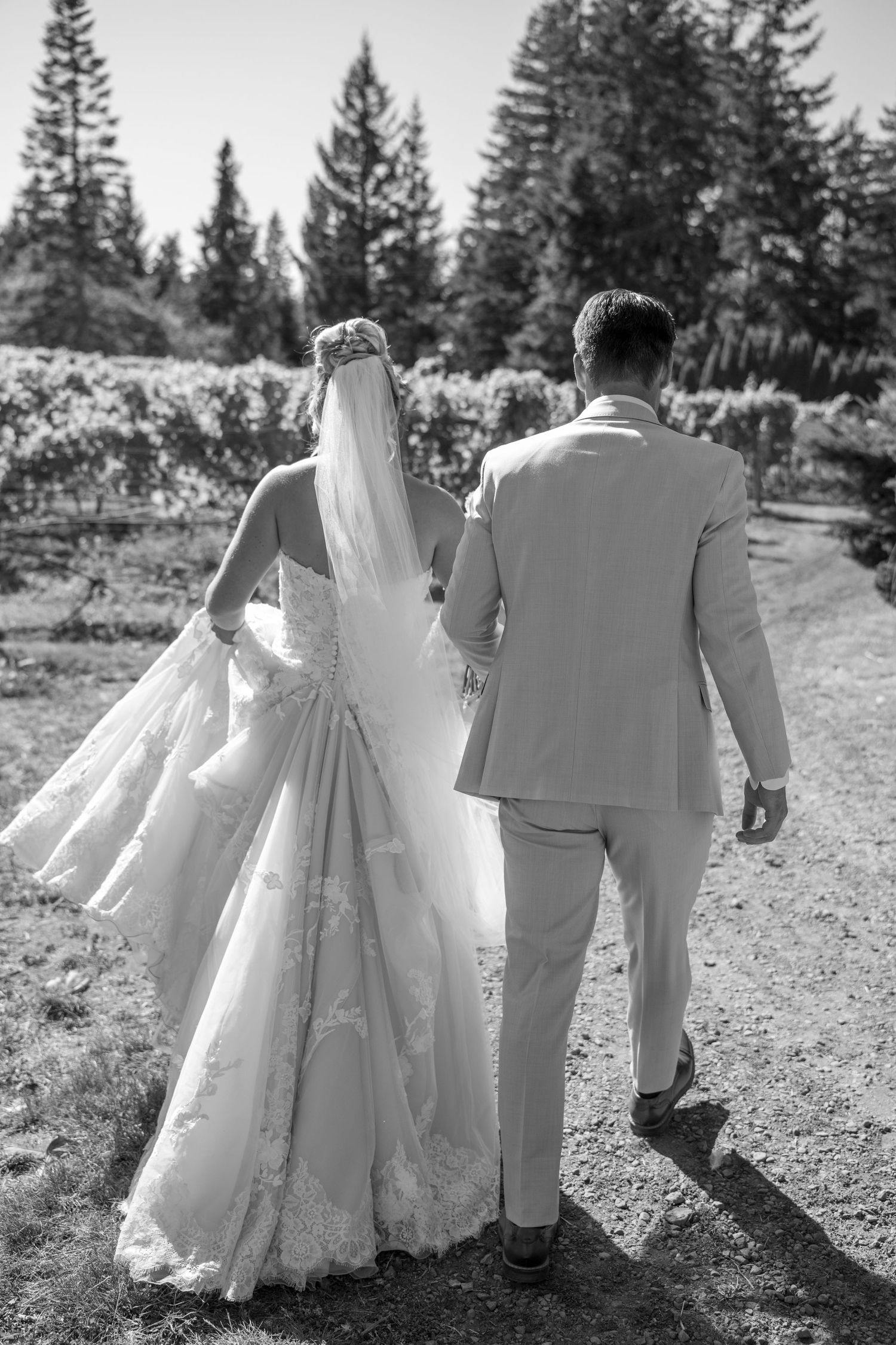 Black and white photo of bride and groom walking hand in hand through vineyard, bride in lace gown with veil.