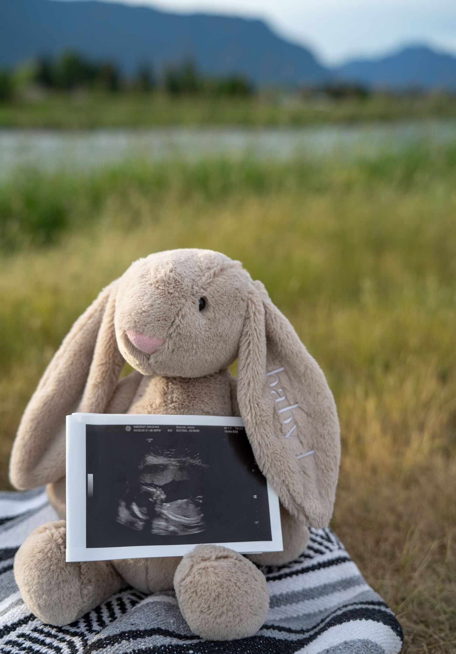Soft beige stuffed bunny holding an ultrasound photo seated on a blanket in a scenic outdoor field.