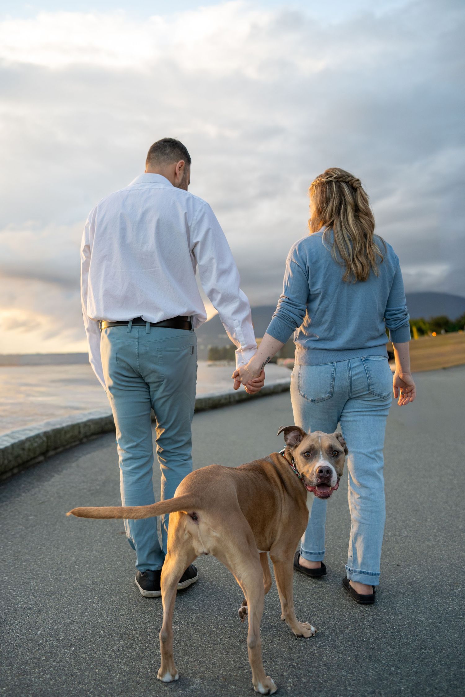 Couple holding hands walking a brown Pit Bull dog along a seaside promenade at sunset.