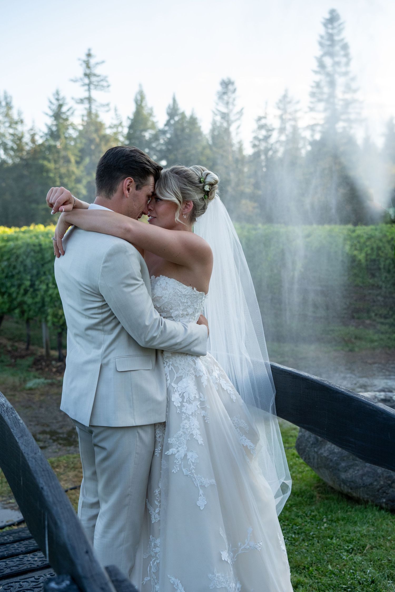 Bride and groom embracing tenderly in a vineyard wedding portrait, bride wearing lace gown and veil.
