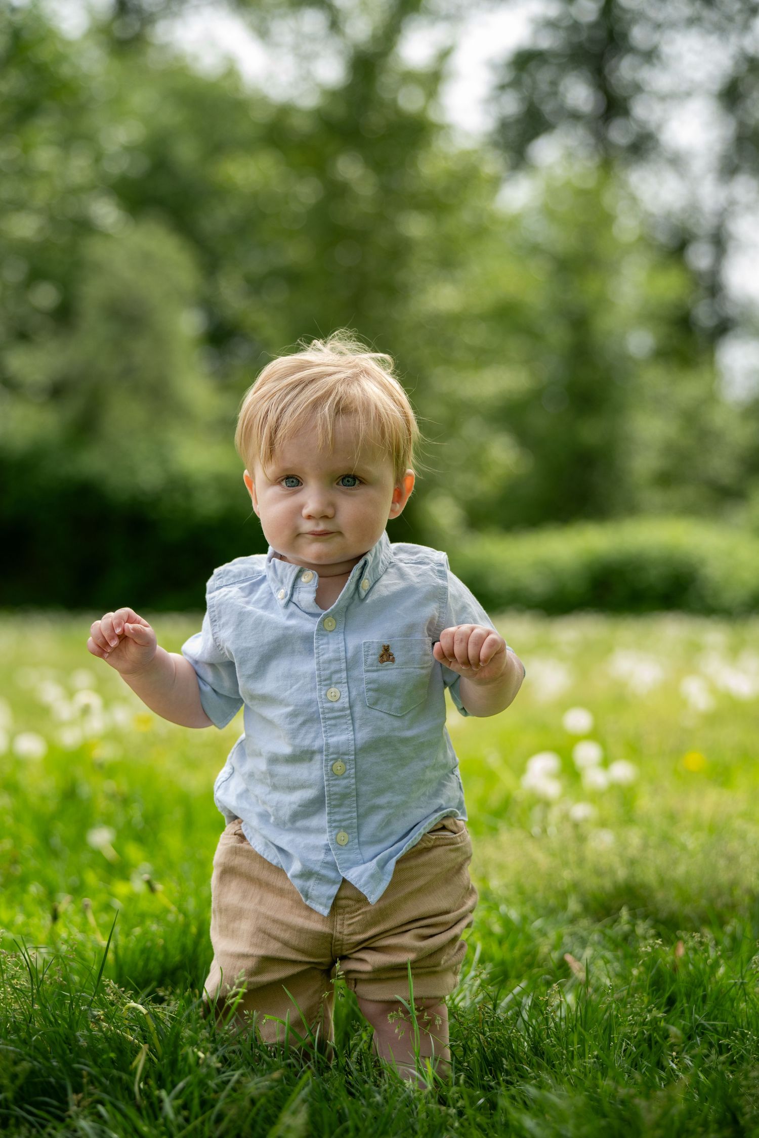 Toddler boy in blue shirt and tan shorts standing on green grass in a sunny park with dandelions.