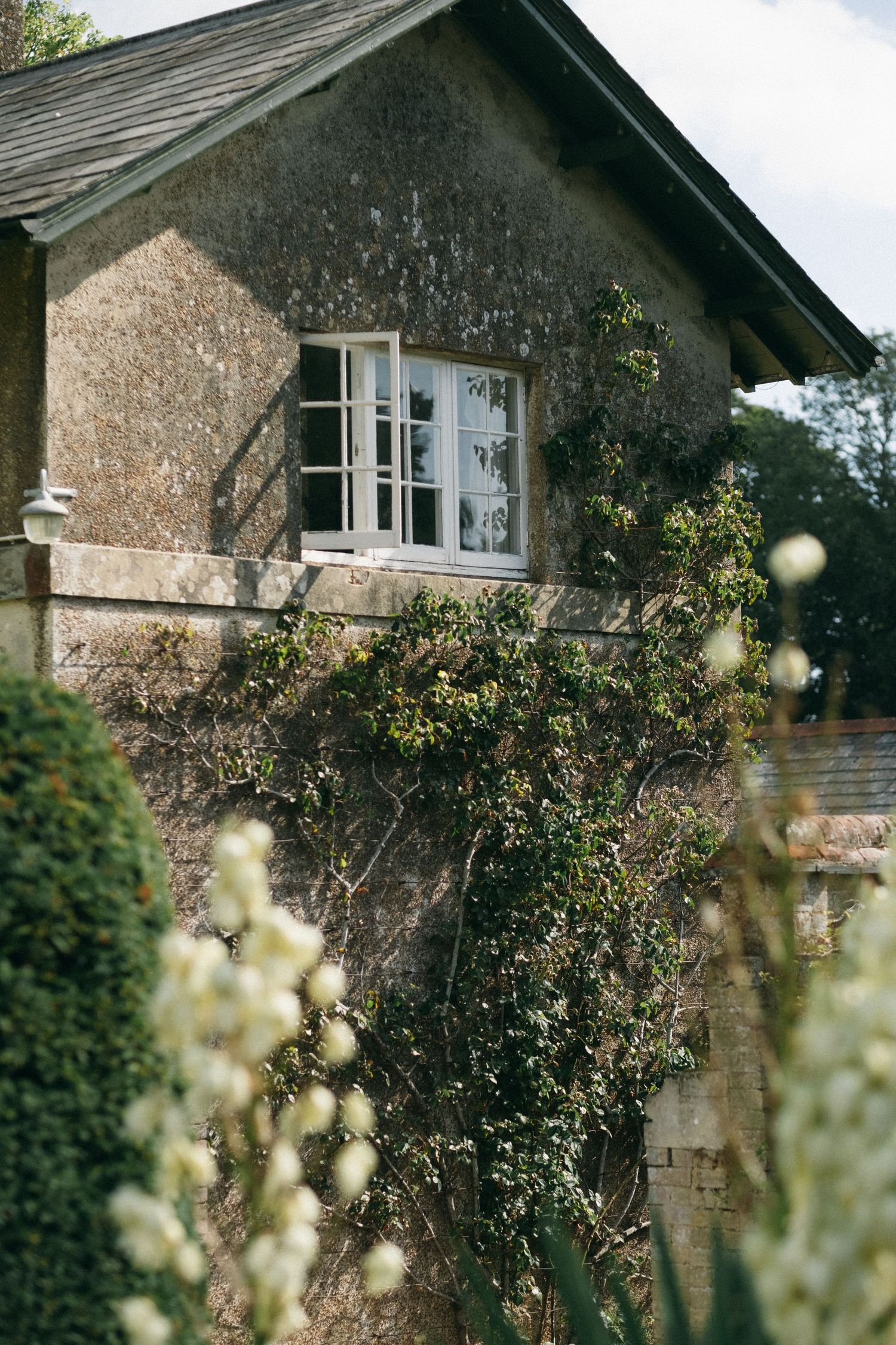 Ivy-covered stone cottage with white French windows surrounded by lush garden greenery and white flowering plants.