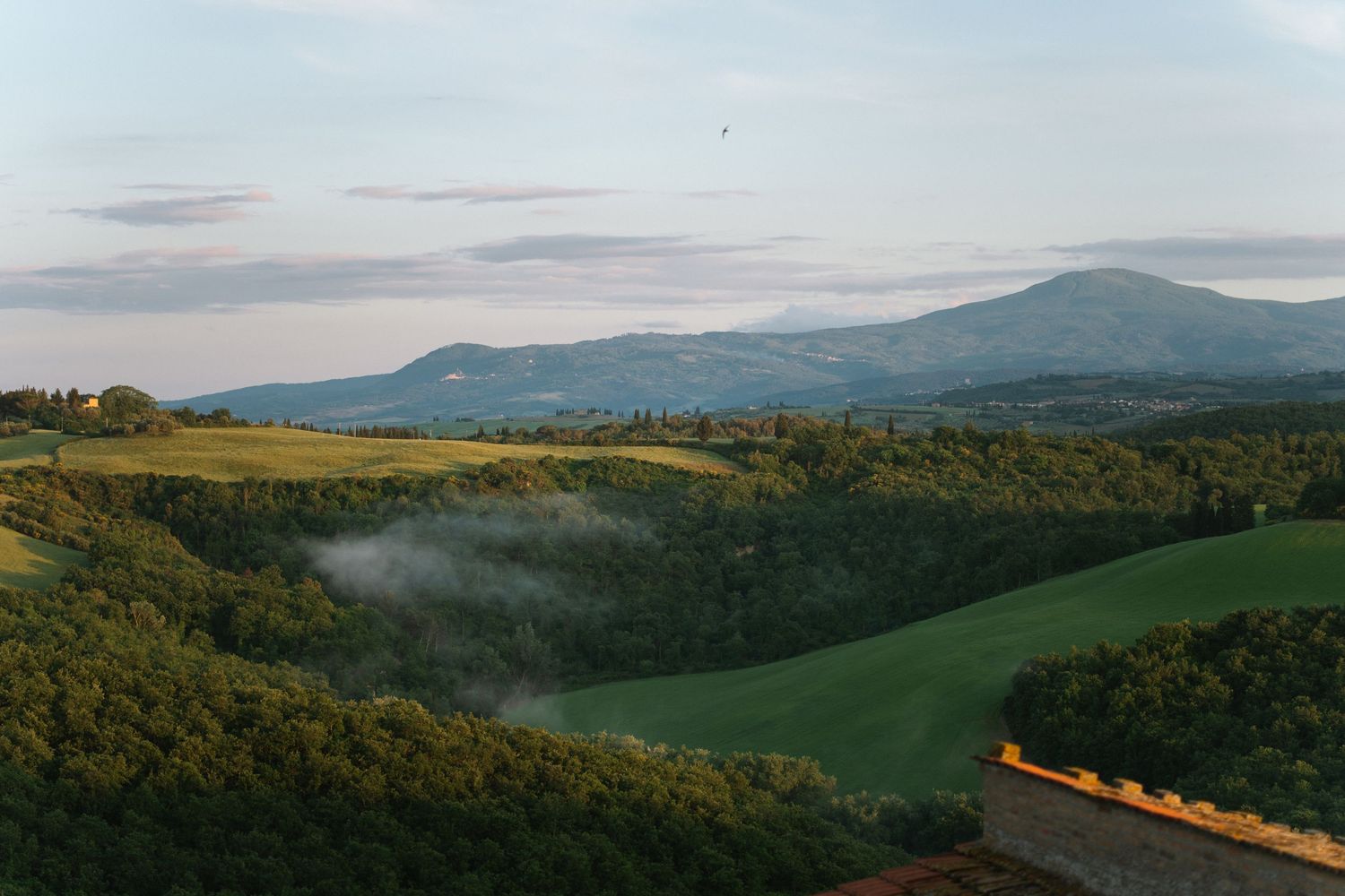 Rolling green hills and dense forests under a misty morning sky with mountains in the background in Tuscany, Italy.